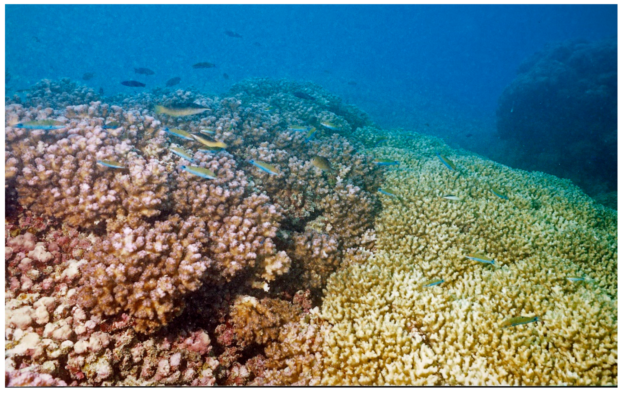 Diversity 17 00823 g060