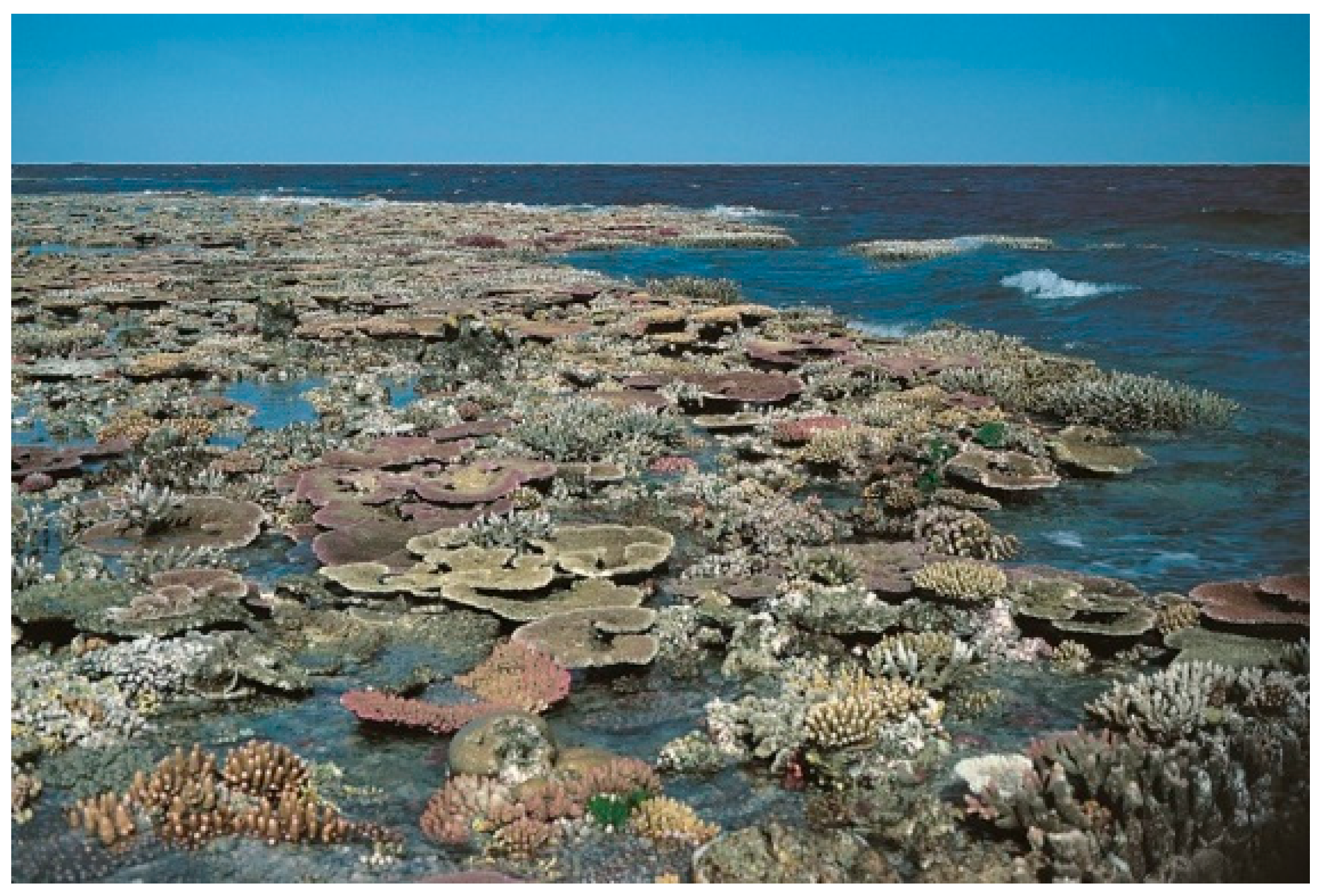 Diversity 17 00823 g061