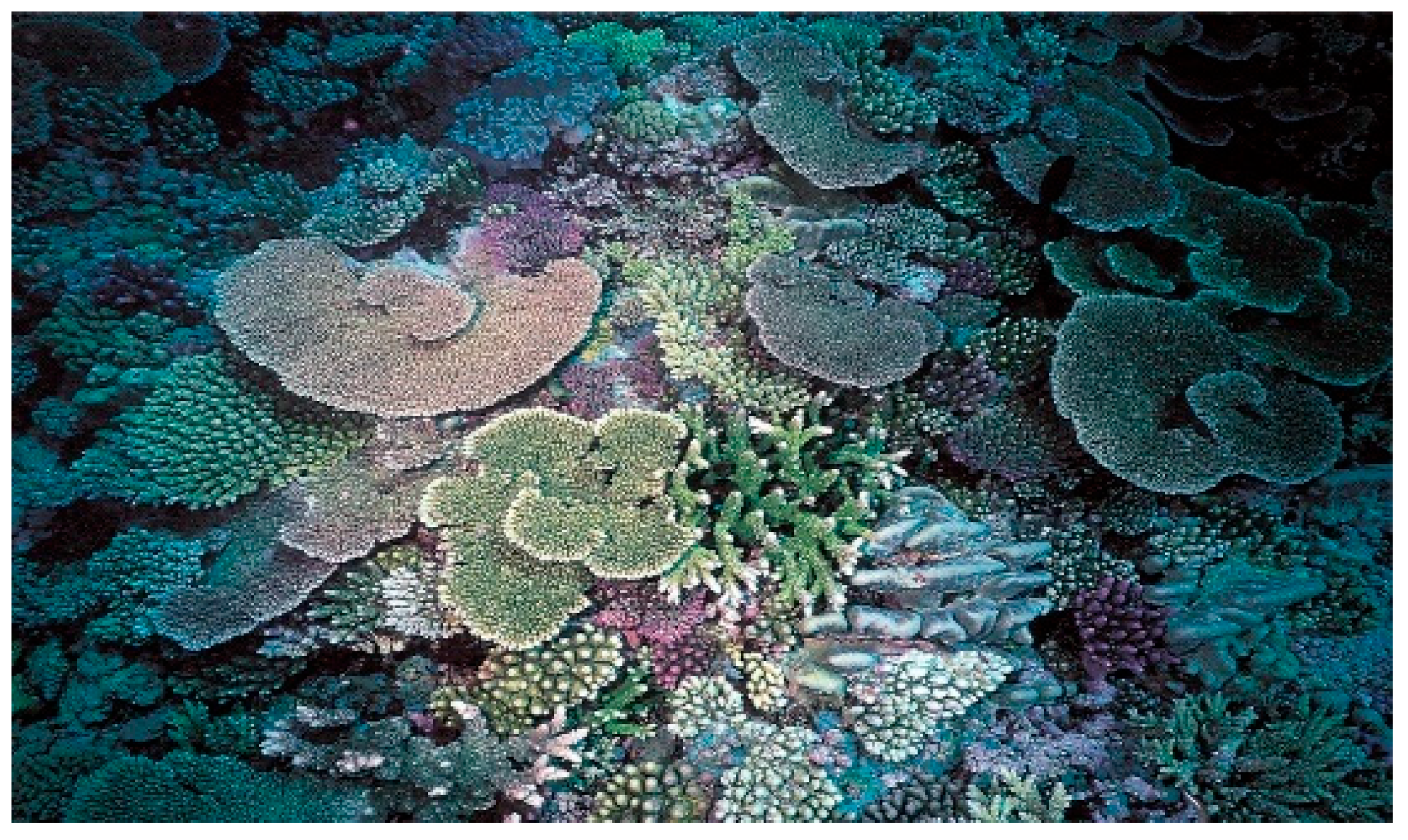 Diversity 17 00823 g062