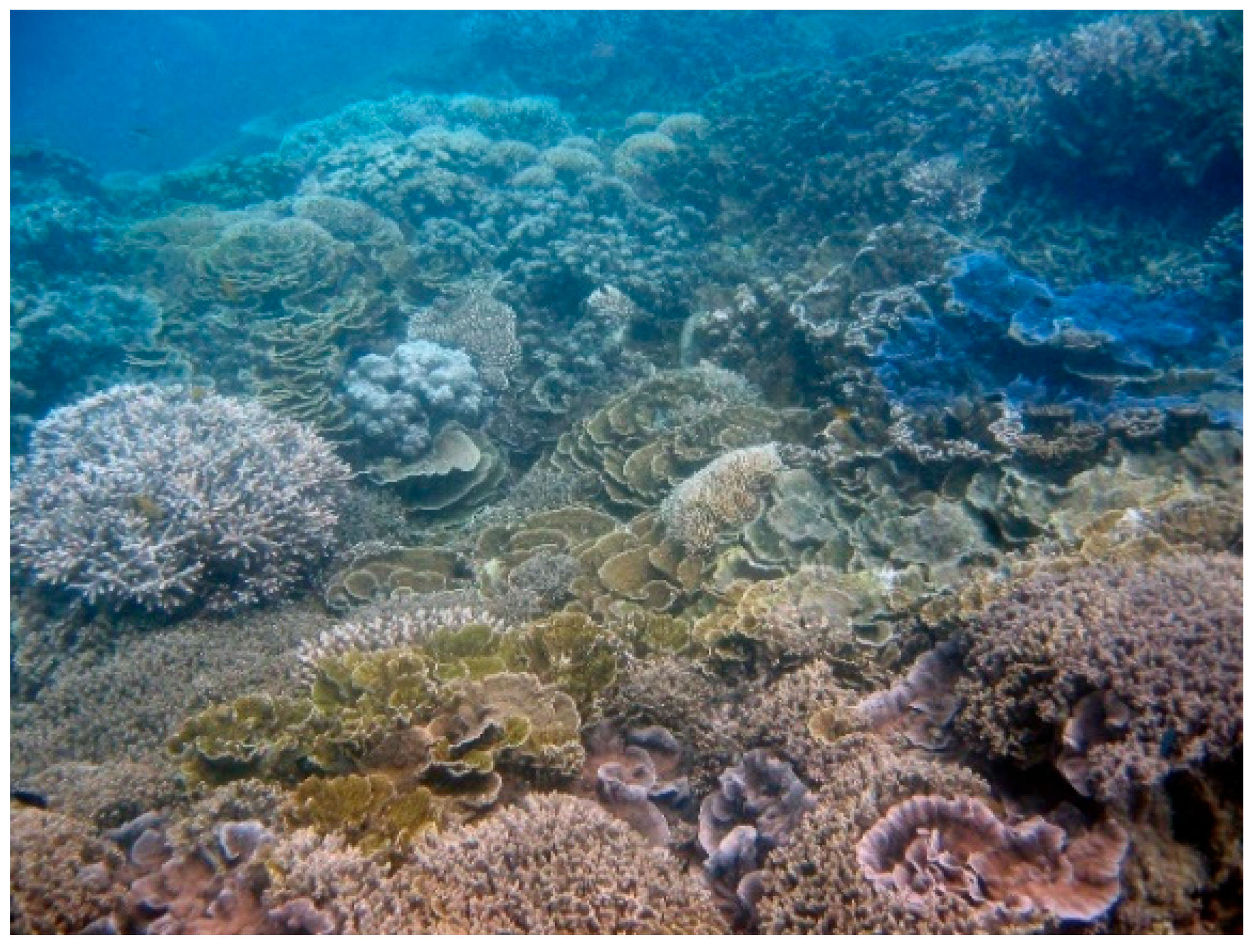 Diversity 17 00823 g063