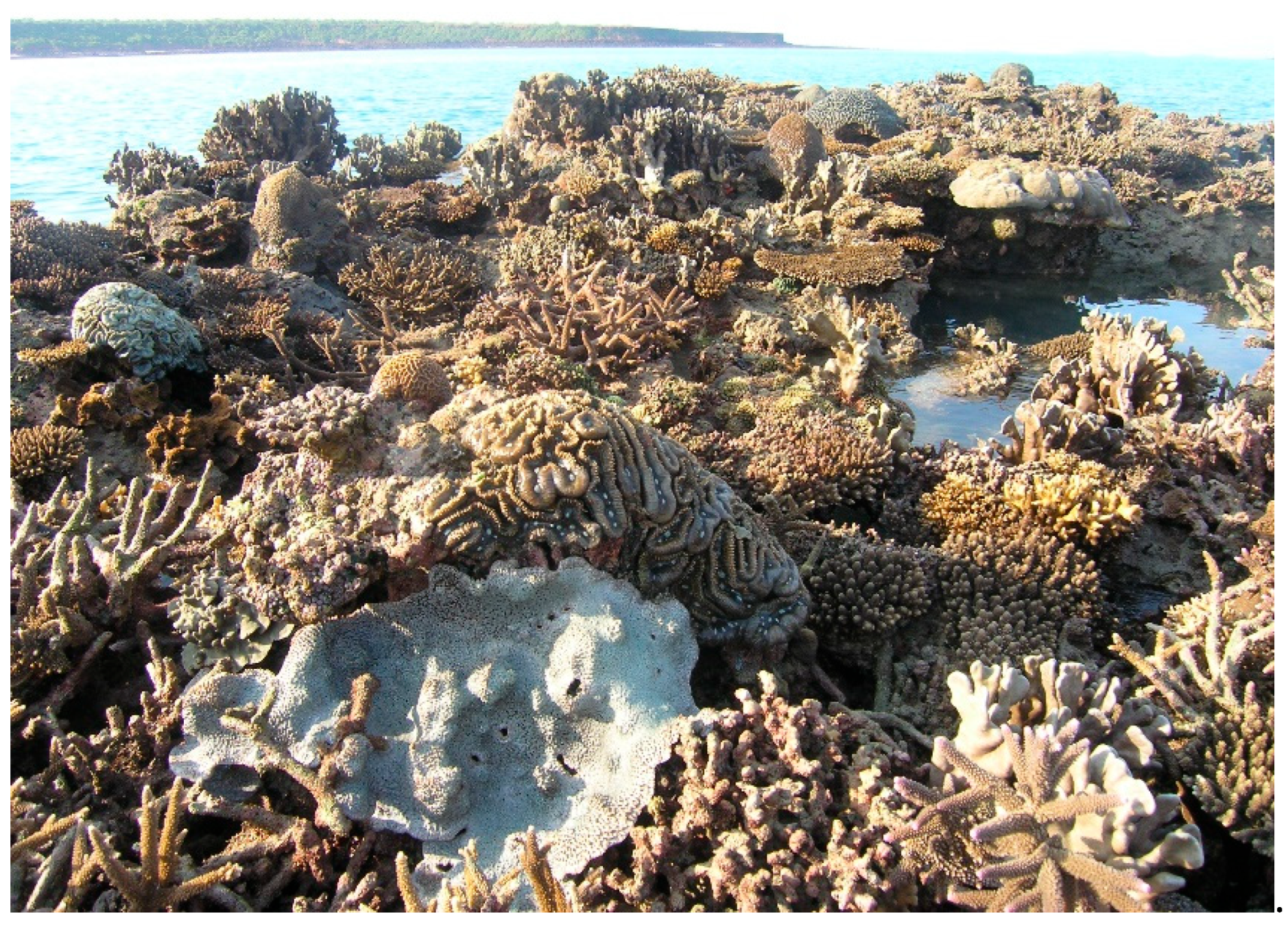 Diversity 17 00823 g066