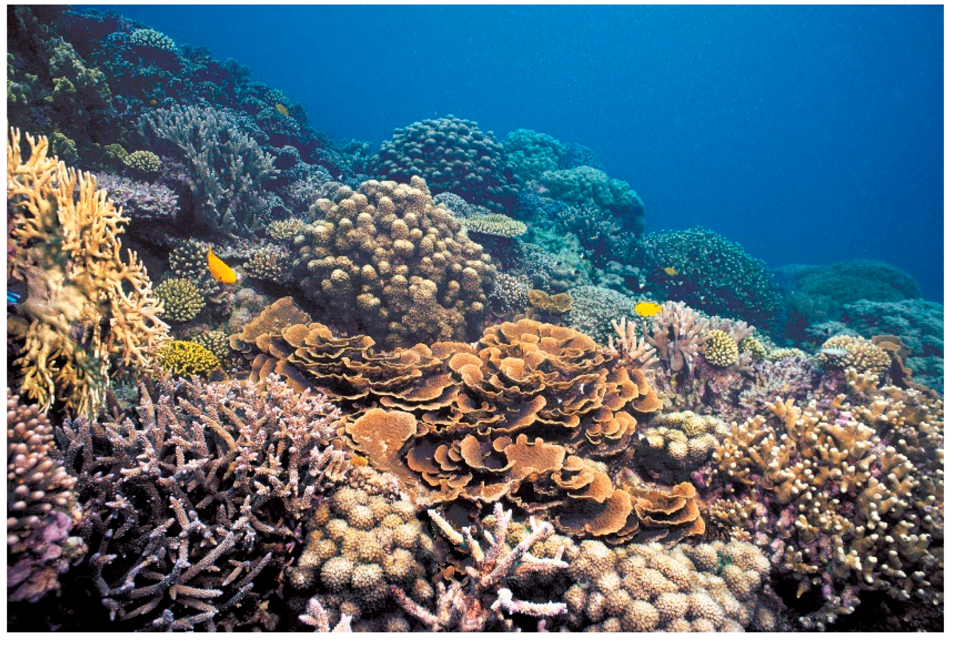 Diversity 17 00823 g067