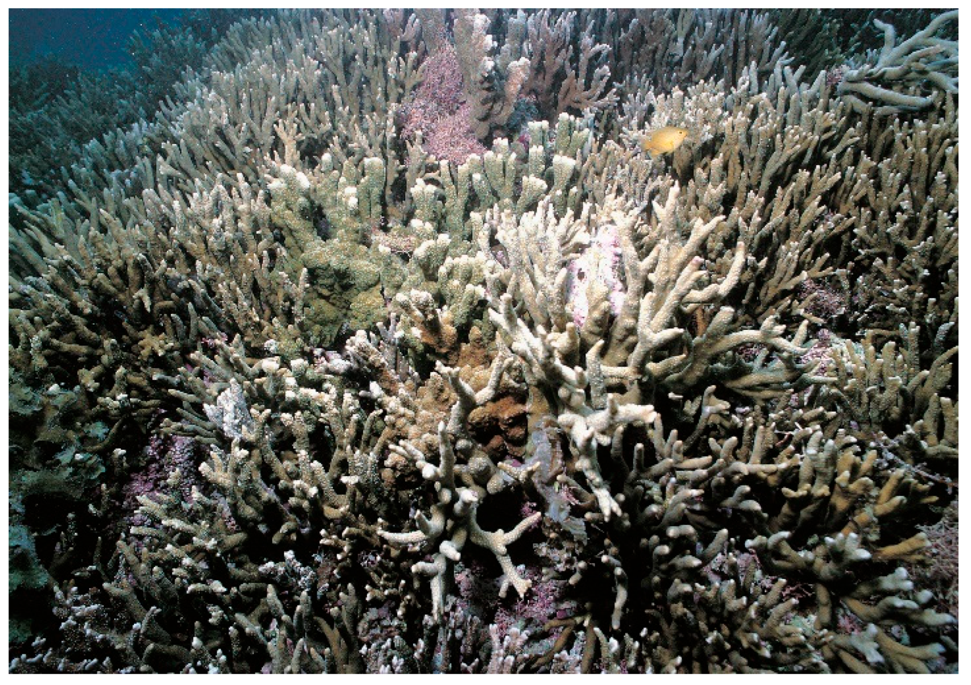 Diversity 17 00823 g071