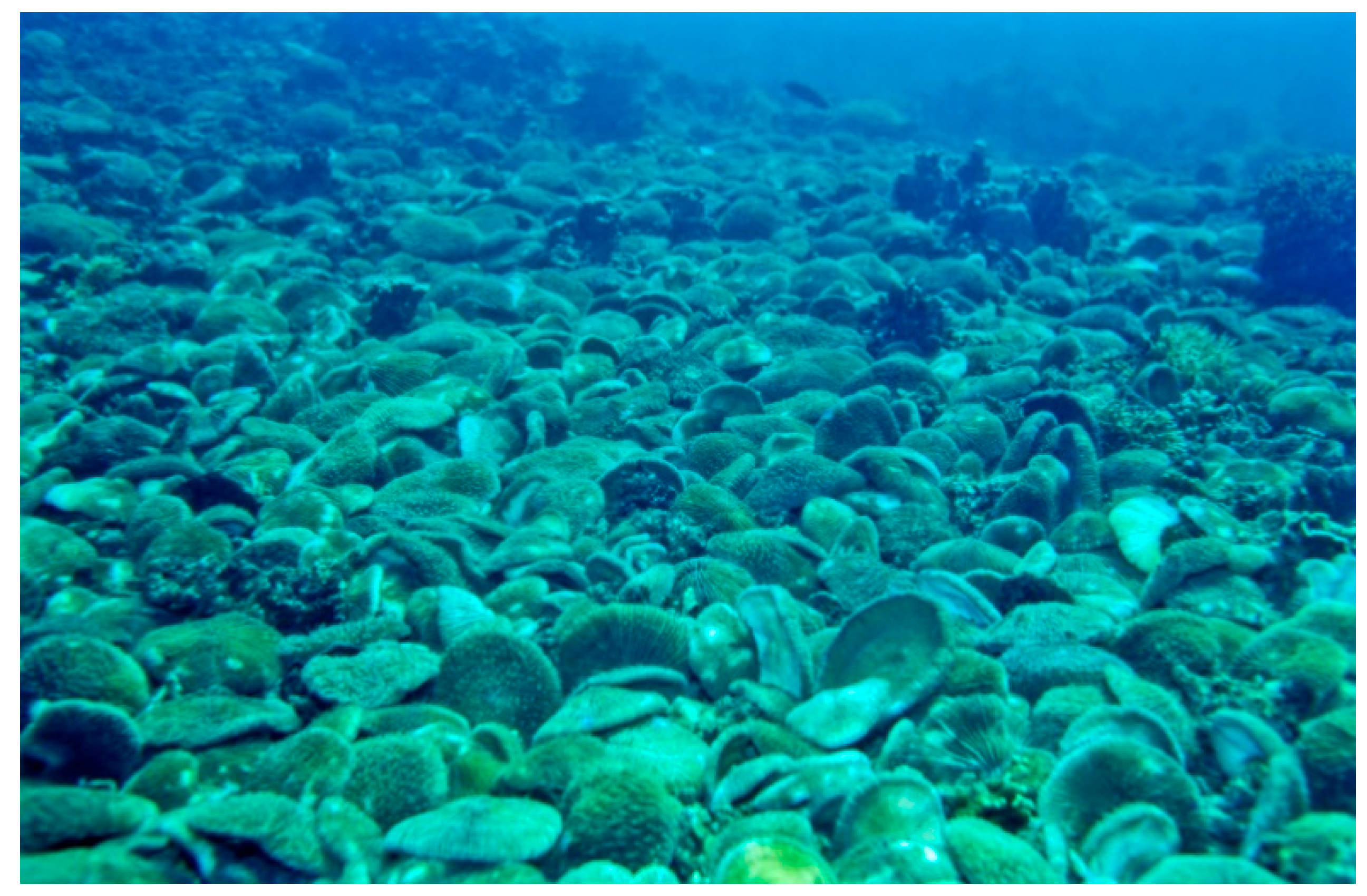 Diversity 17 00823 g072