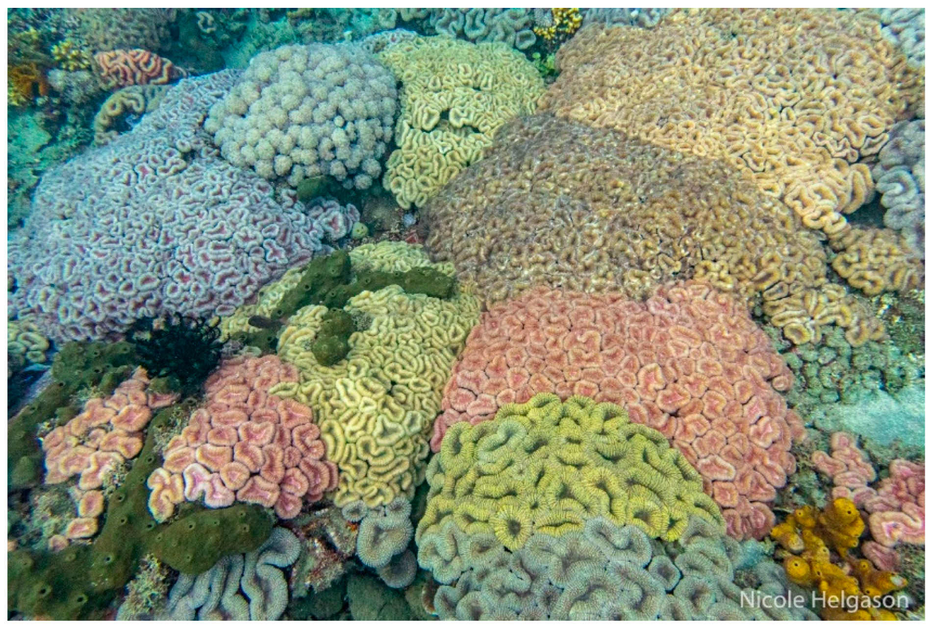 Diversity 17 00823 g073