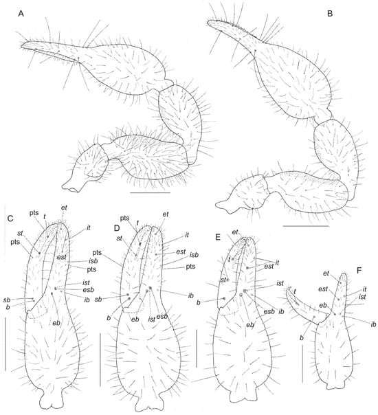 Diversity 17 00852 g008