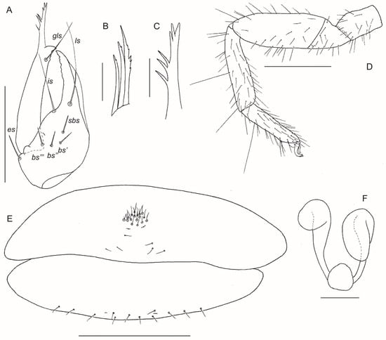 Diversity 17 00852 g009