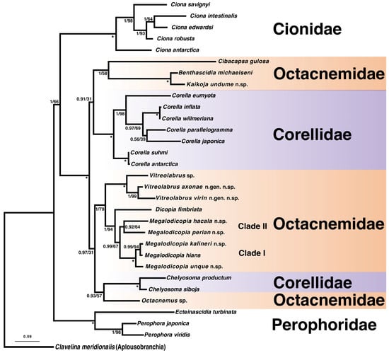 Diversity 17 00859 g001