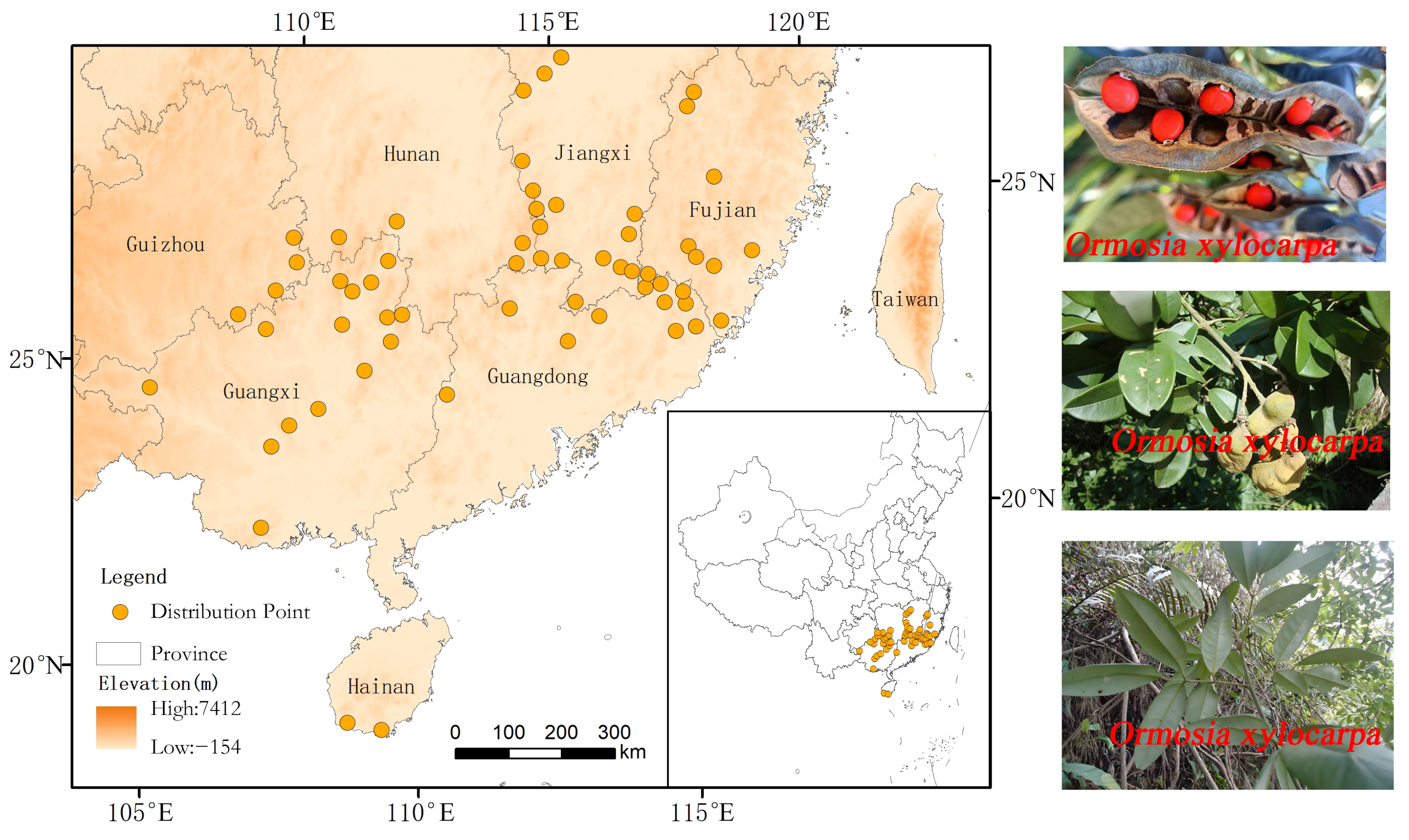 Diversity 17 00862 g002 Diversity 17 00862 g002