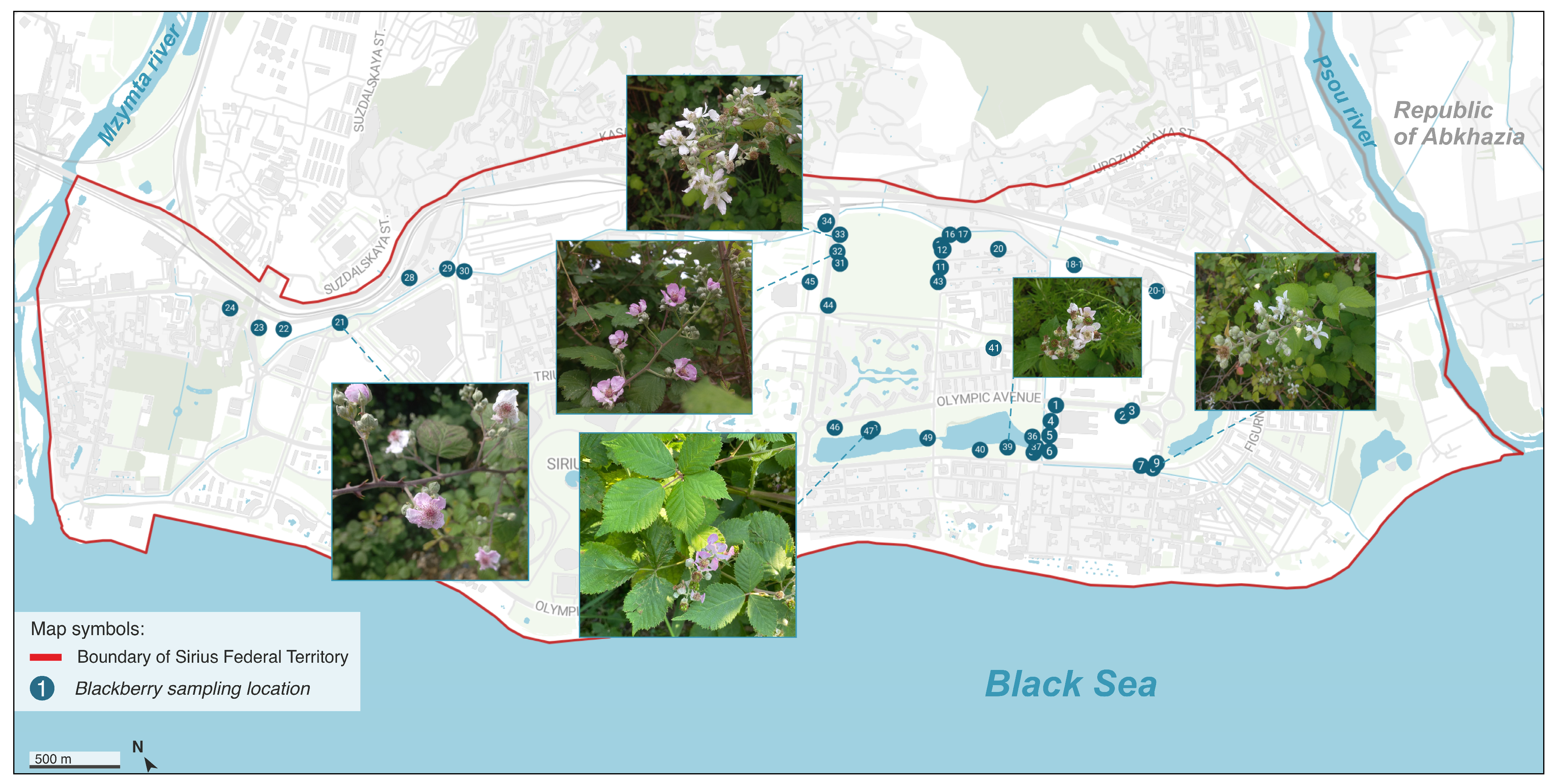 Diversity 17 00869 g001