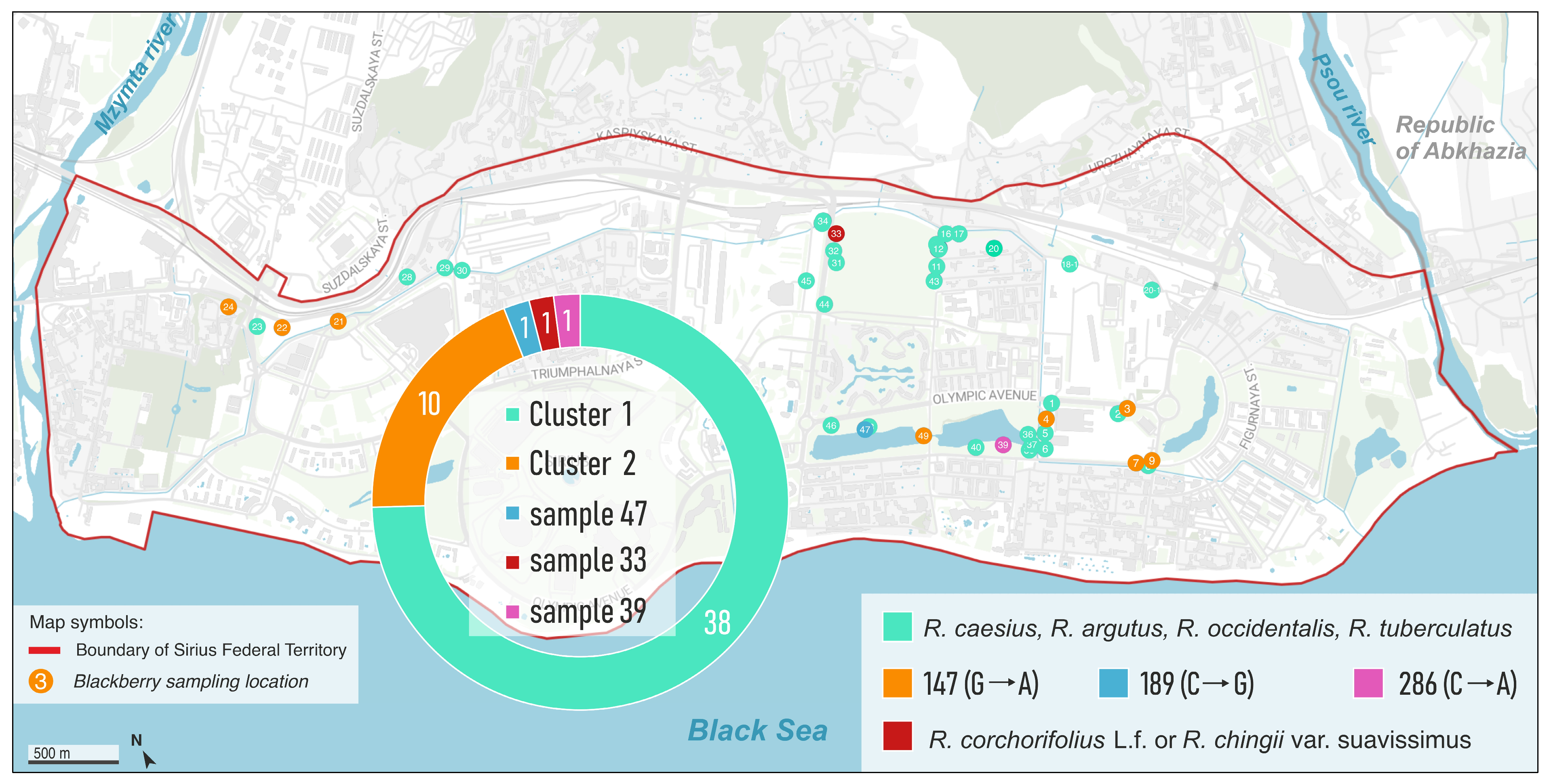 Diversity 17 00869 g004
