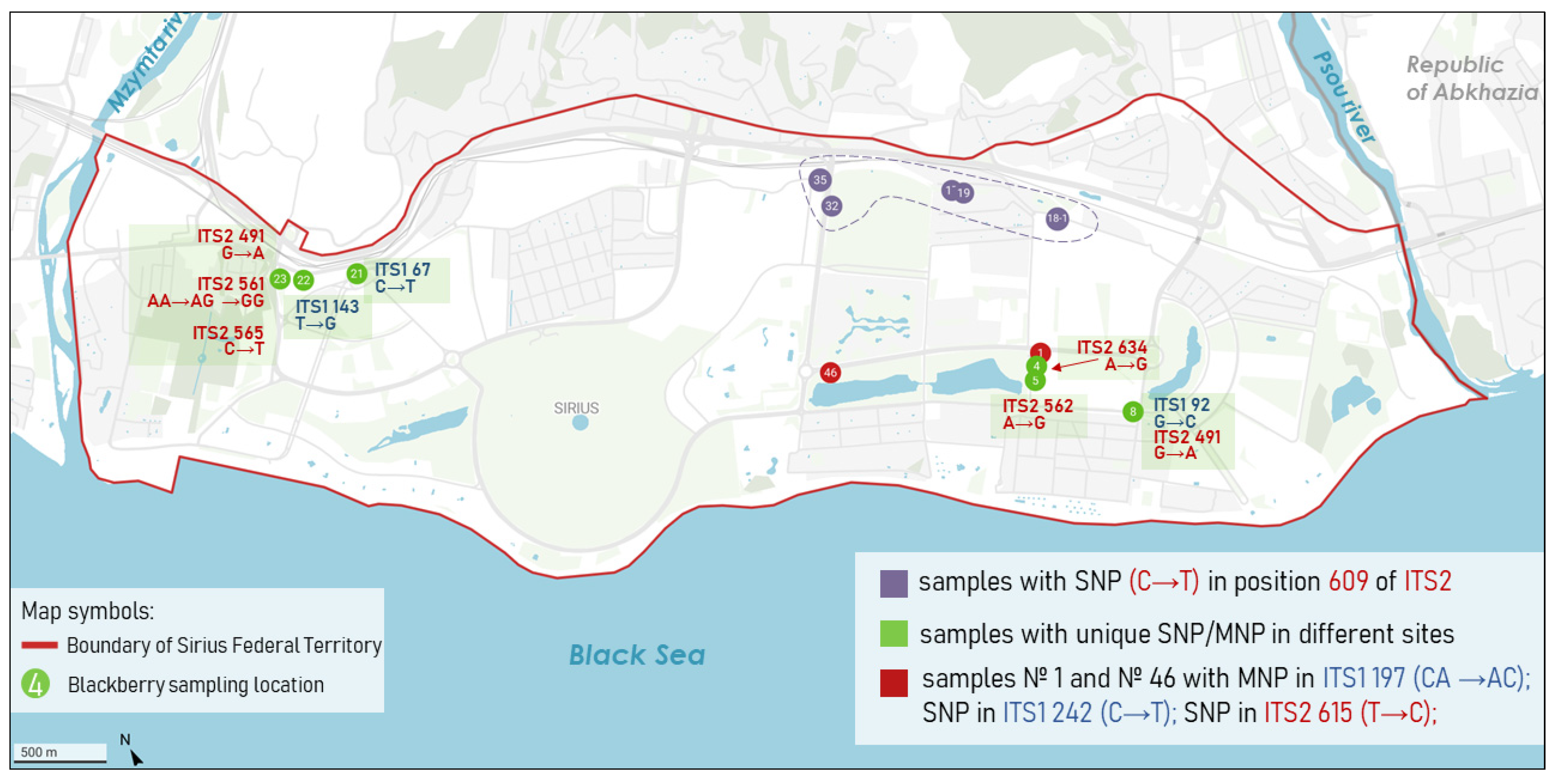 Diversity 17 00869 g007