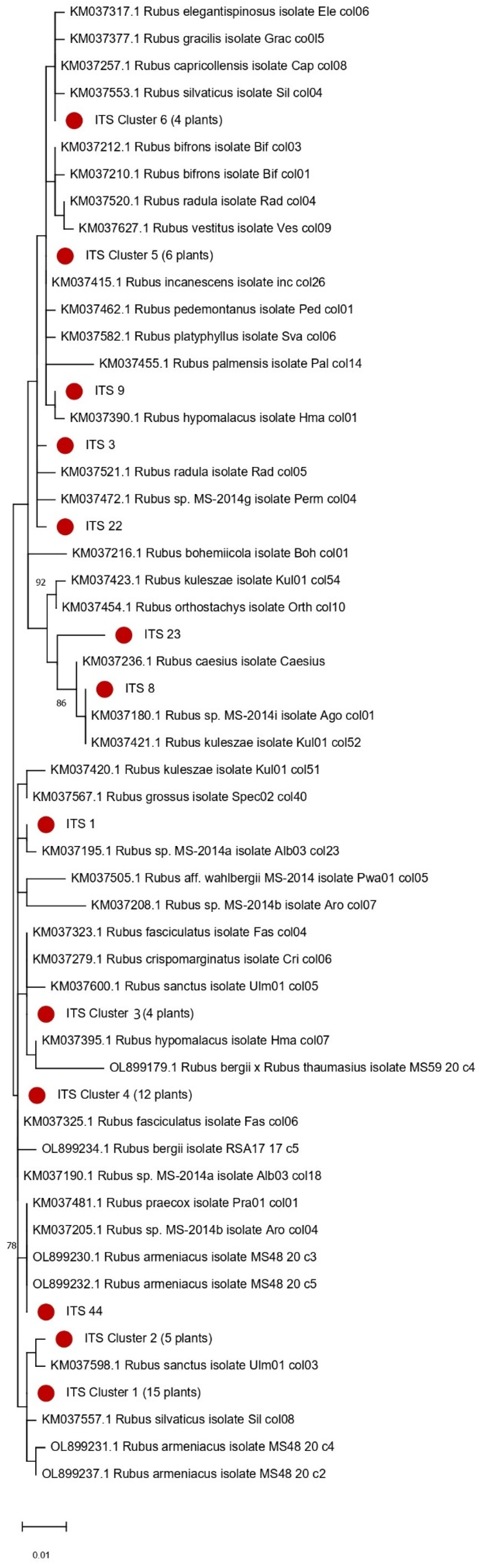 Diversity 17 00869 g009