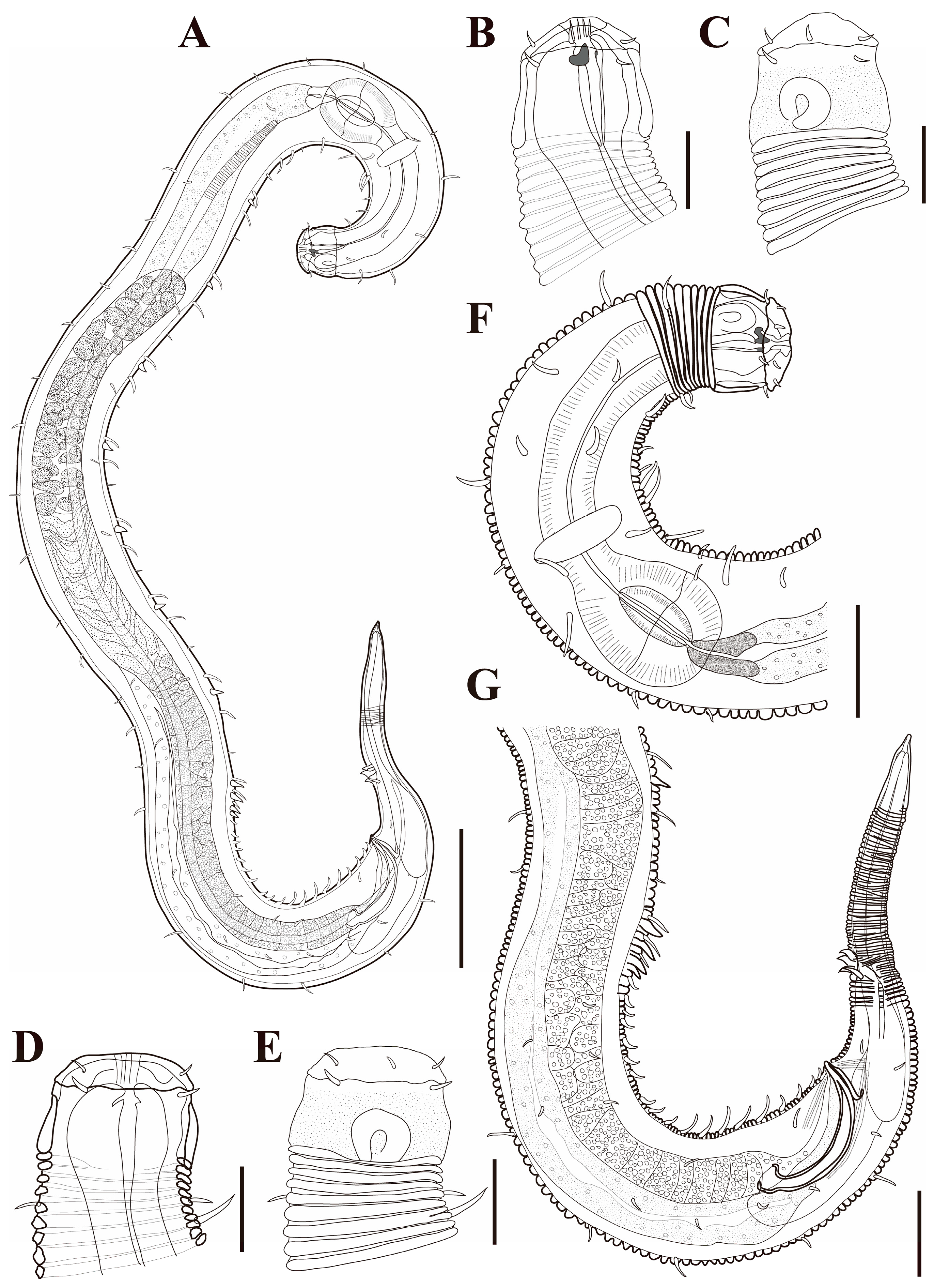 Diversity 18 00003 g001