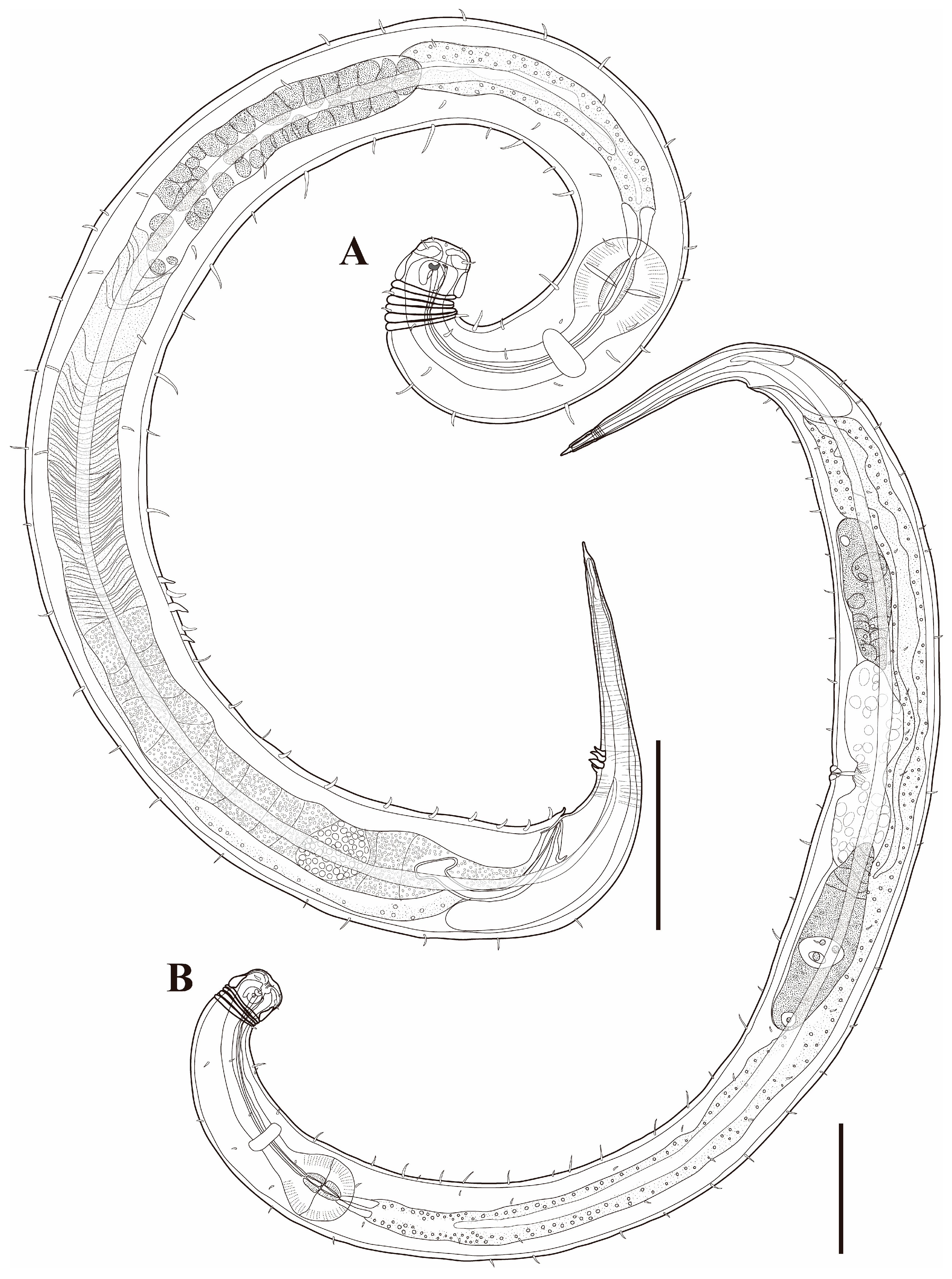 Diversity 18 00003 g010