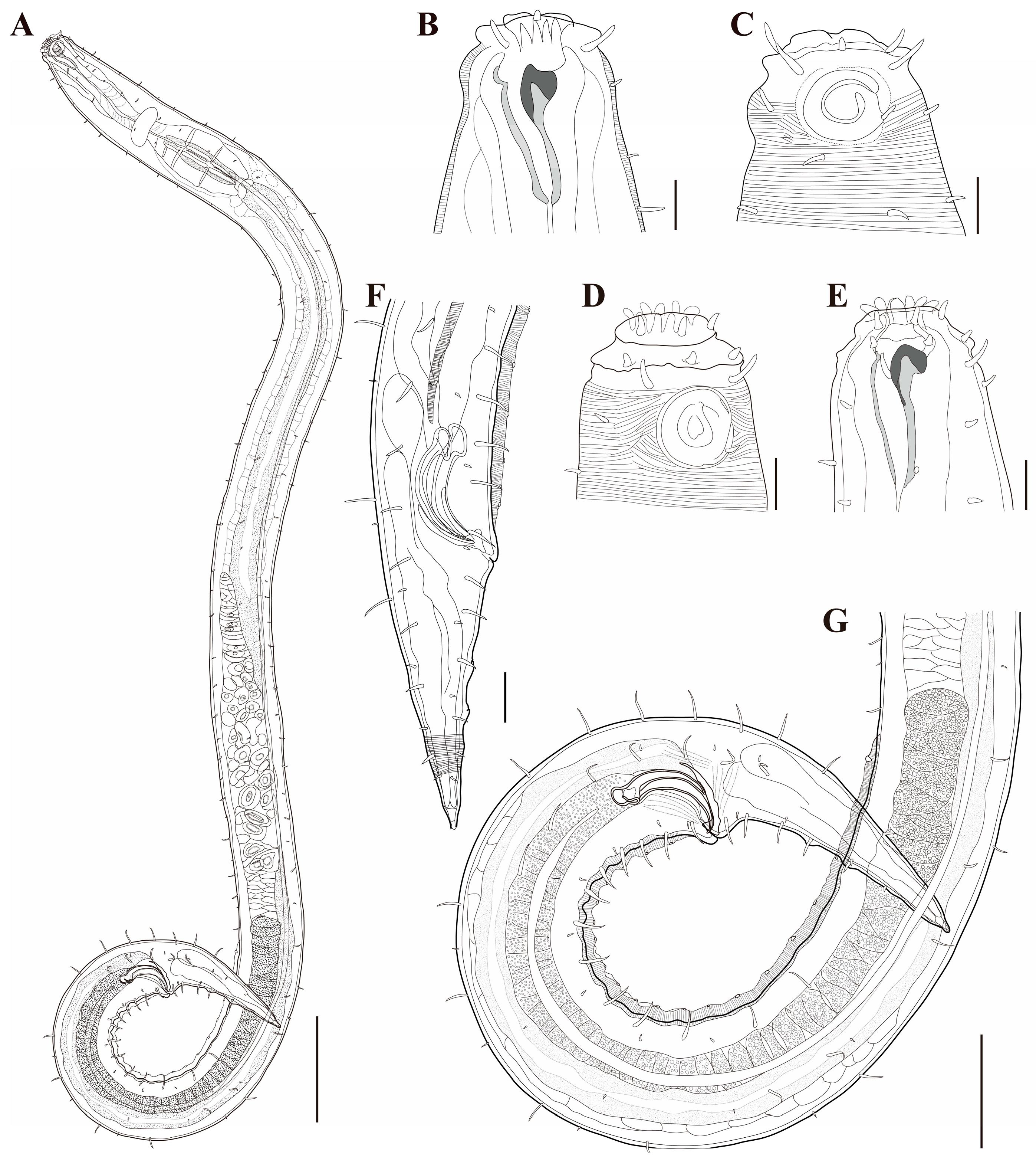 Diversity 18 00003 g018