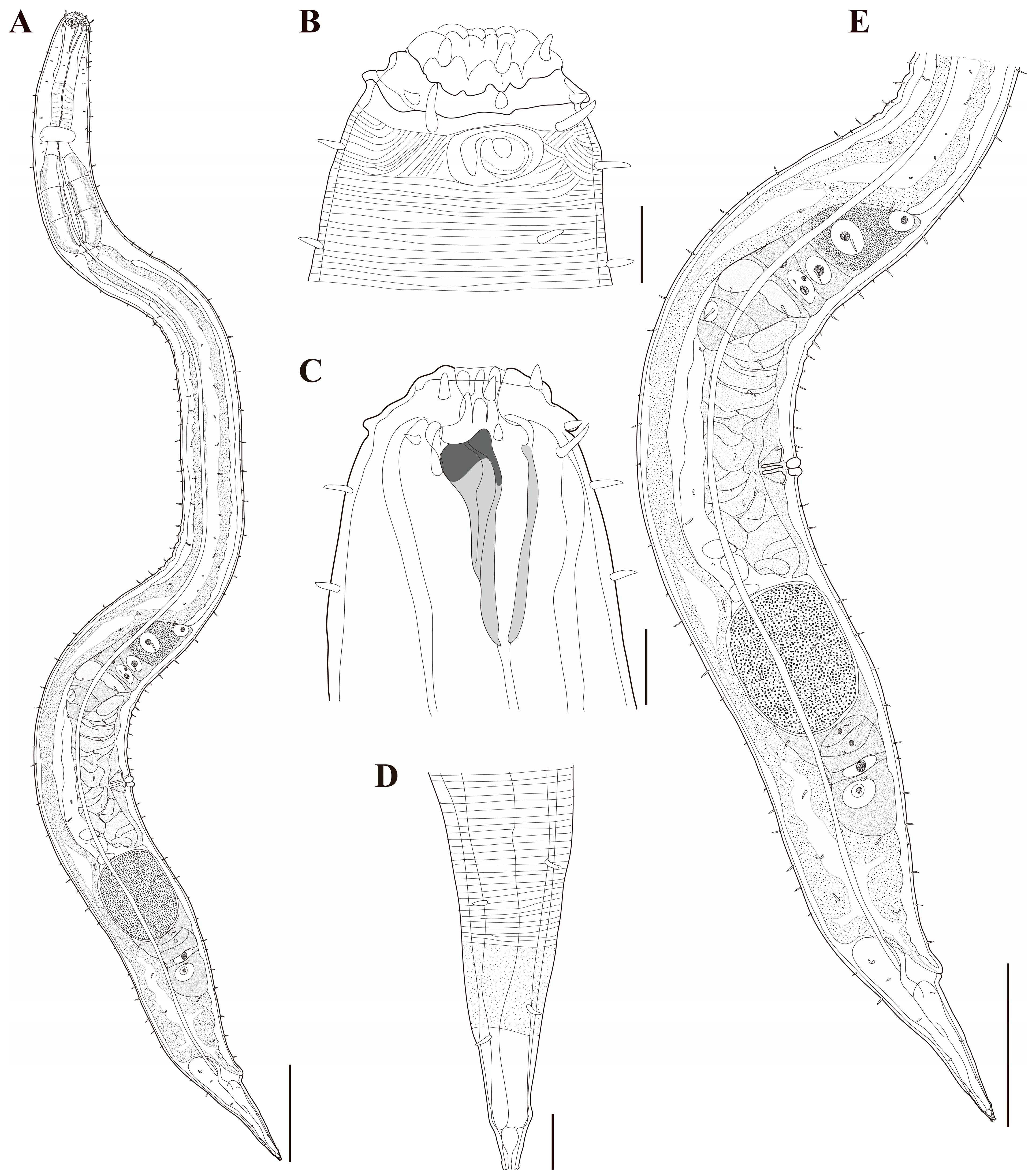 Diversity 18 00003 g019