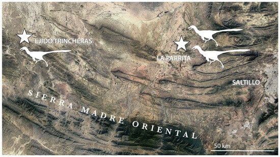 Diversity 18 00038 g002