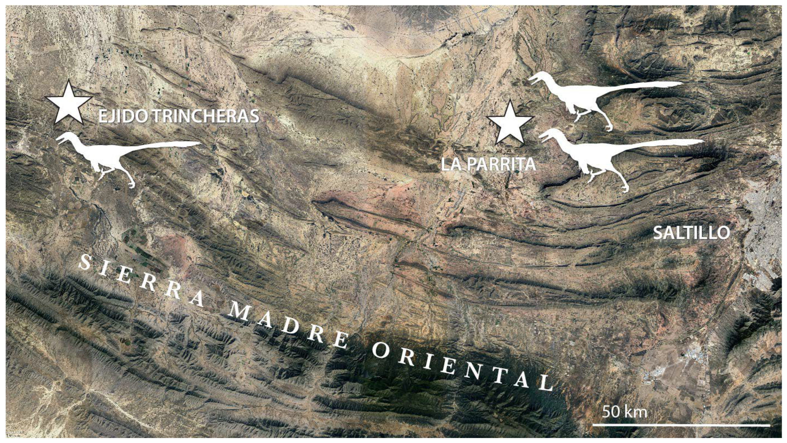 Diversity 18 00038 g002