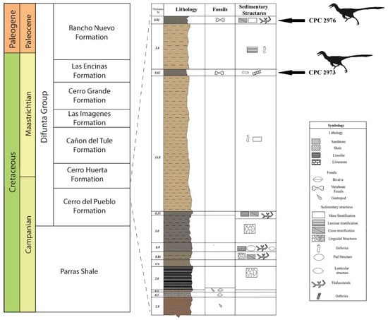 Diversity 18 00038 g003