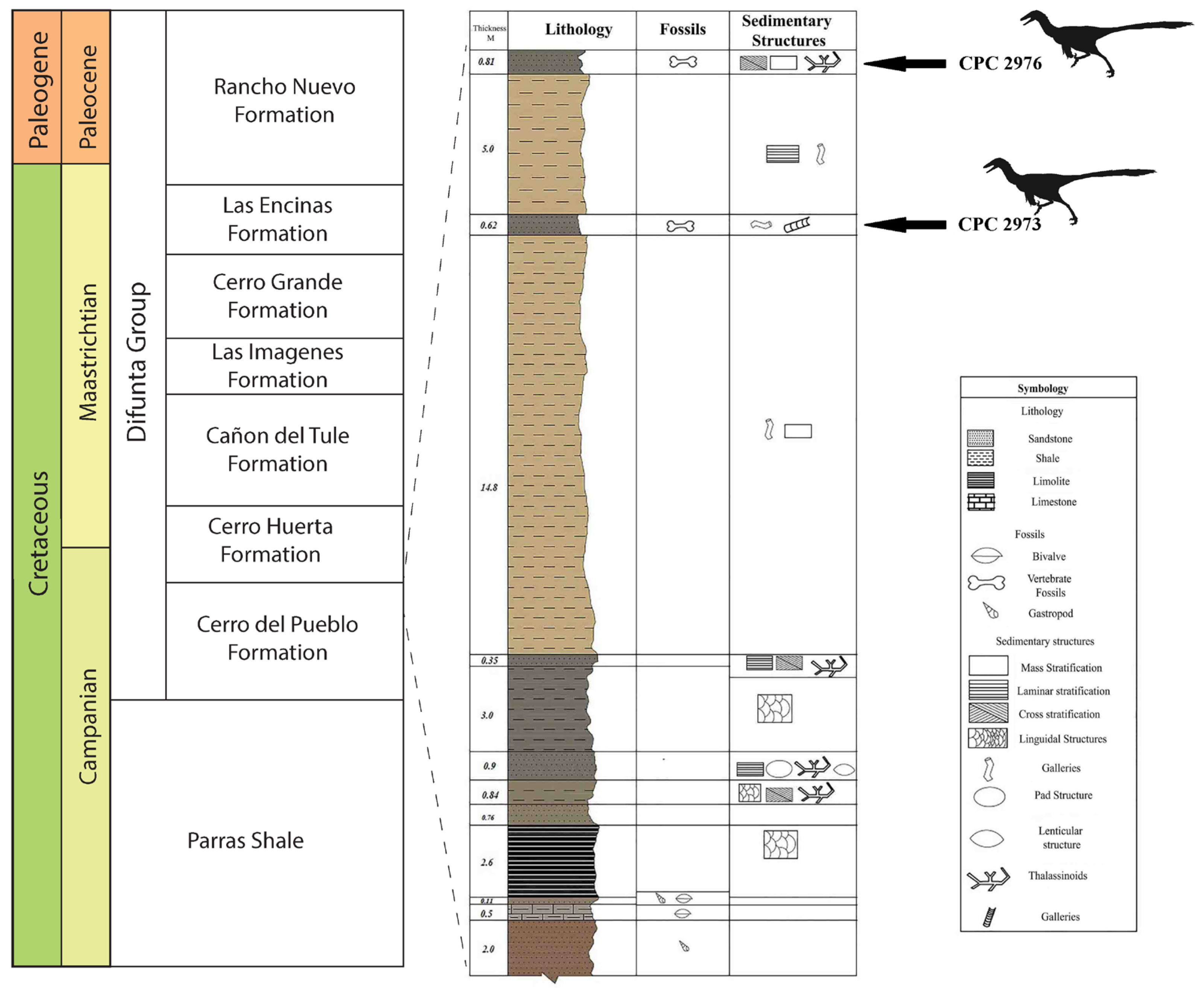 Diversity 18 00038 g003