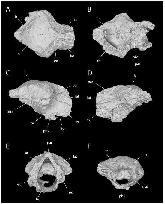 Diversity 18 00038 g005