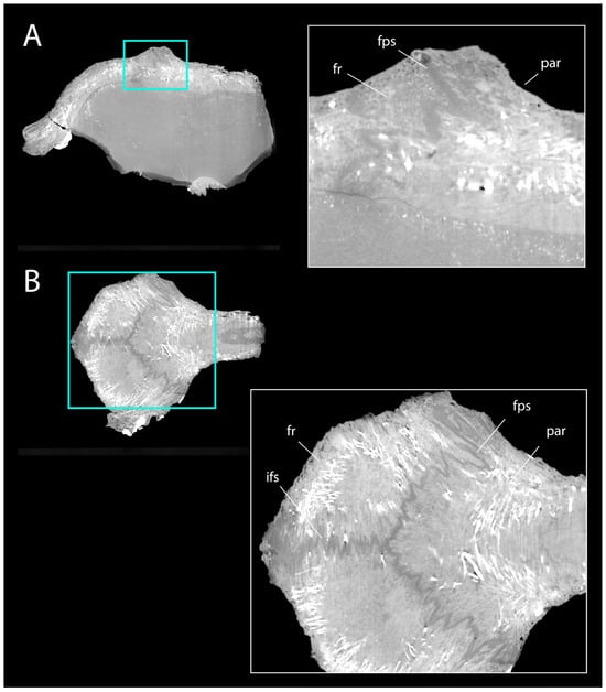 Diversity 18 00038 g007