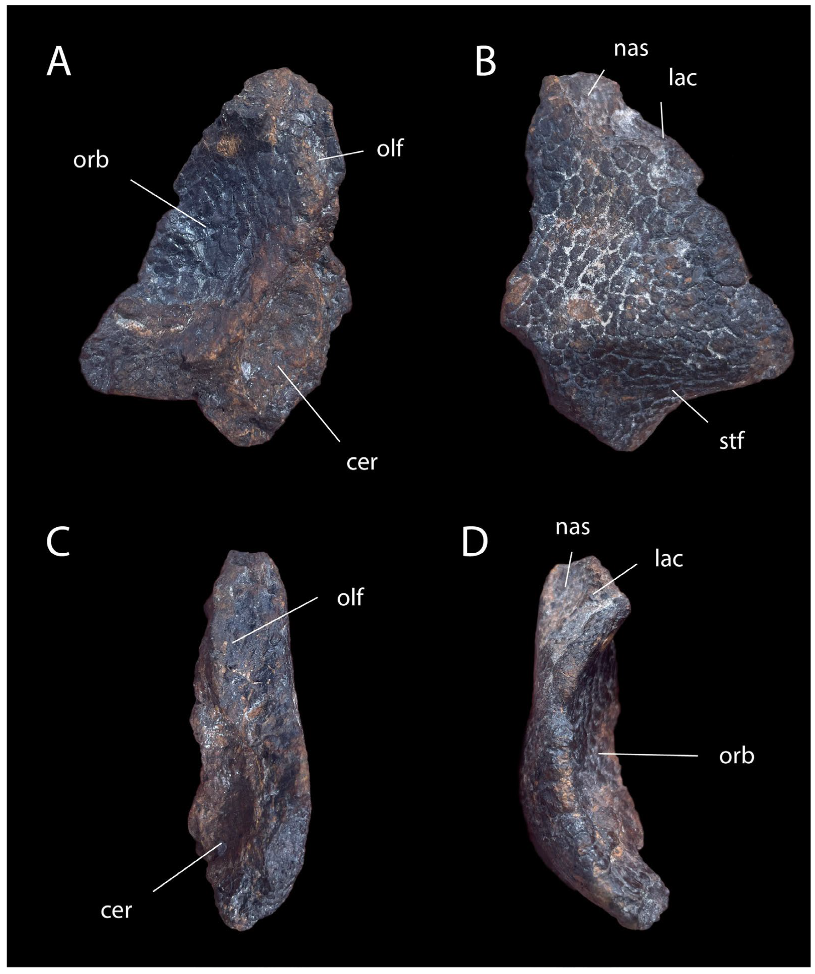 Diversity 18 00038 g010