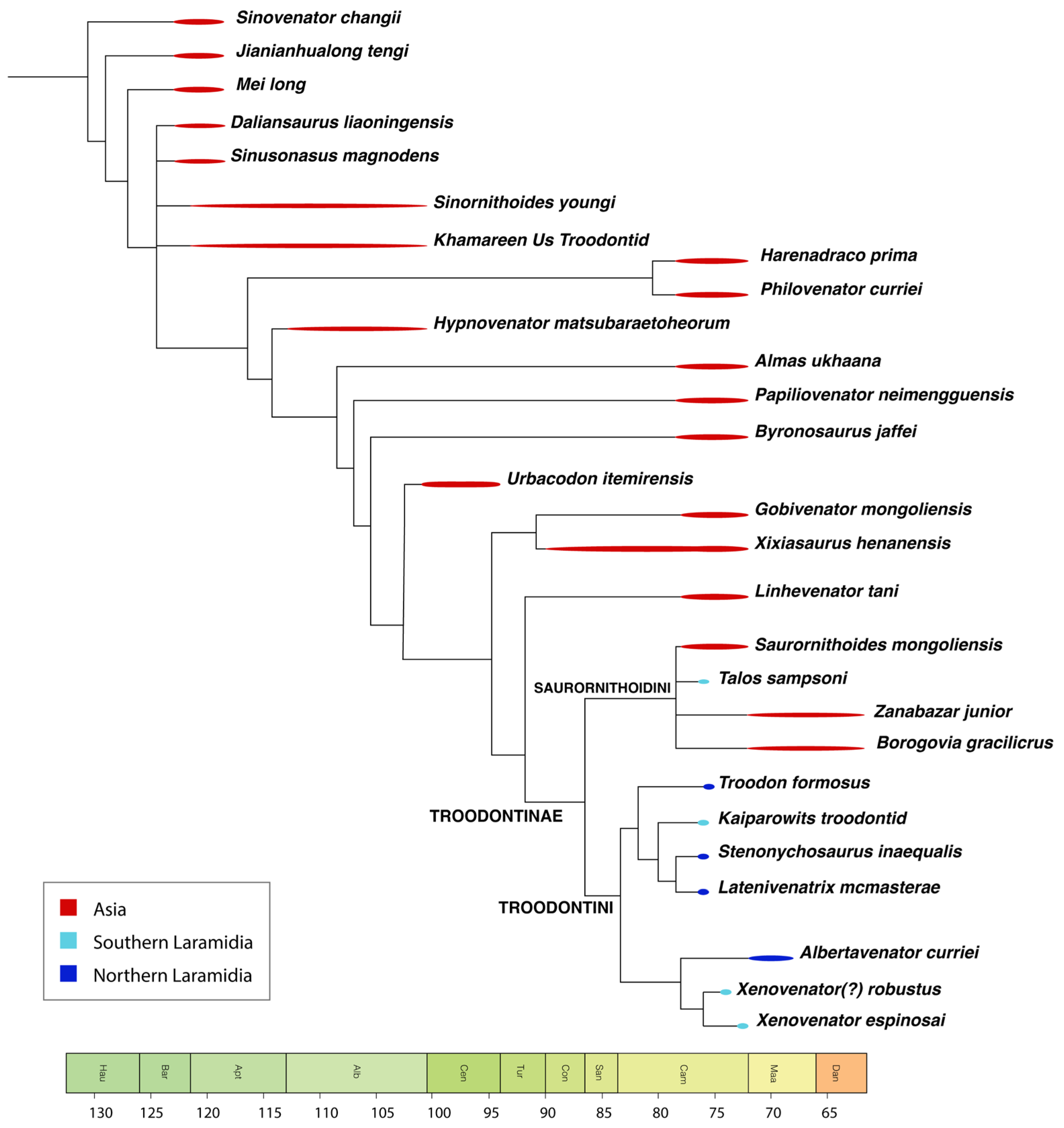 Diversity 18 00038 g011