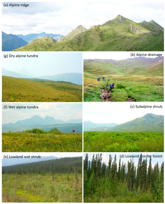 Diversity 18 00066 g001