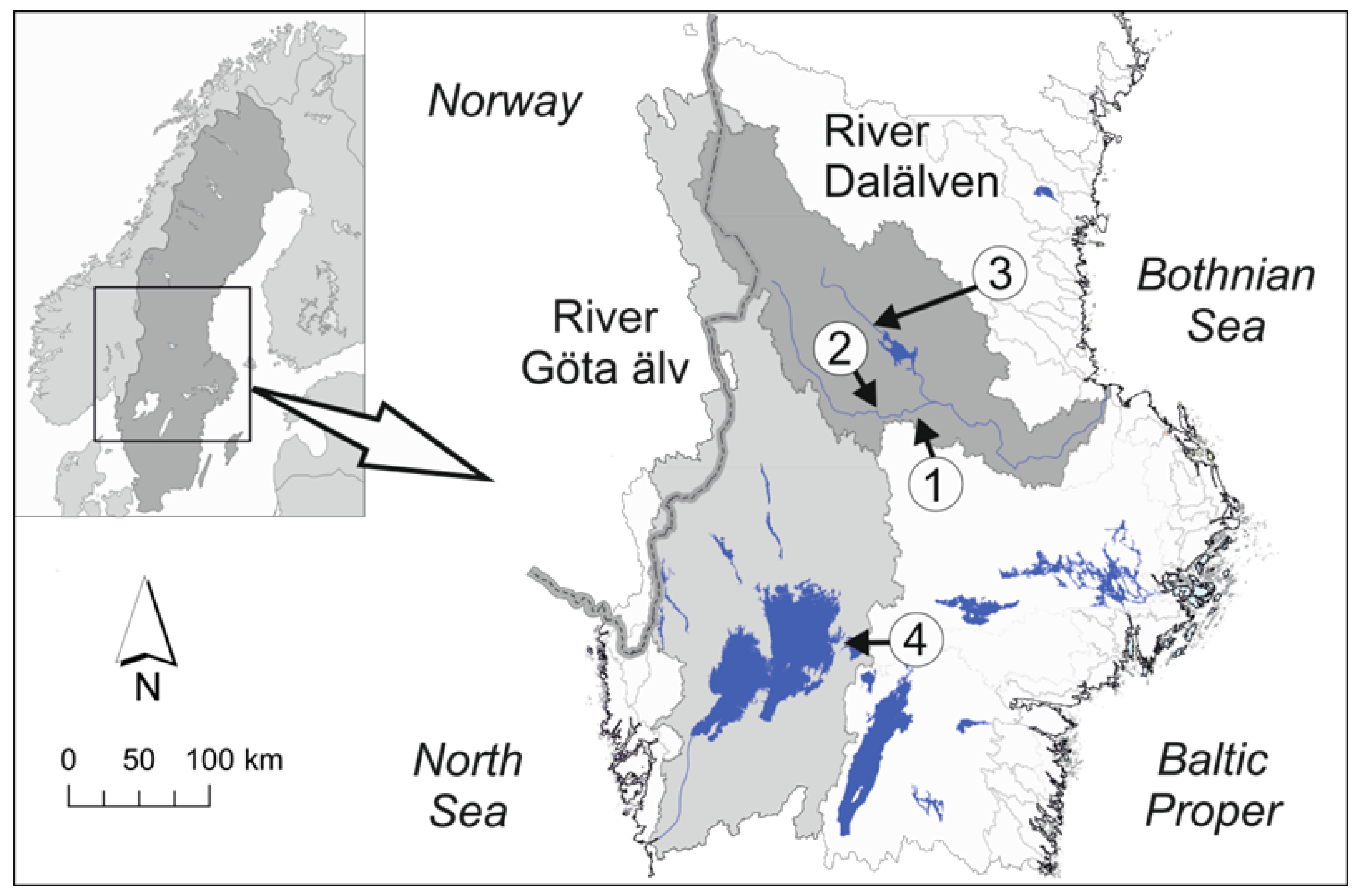 Diversity 18 00076 g001