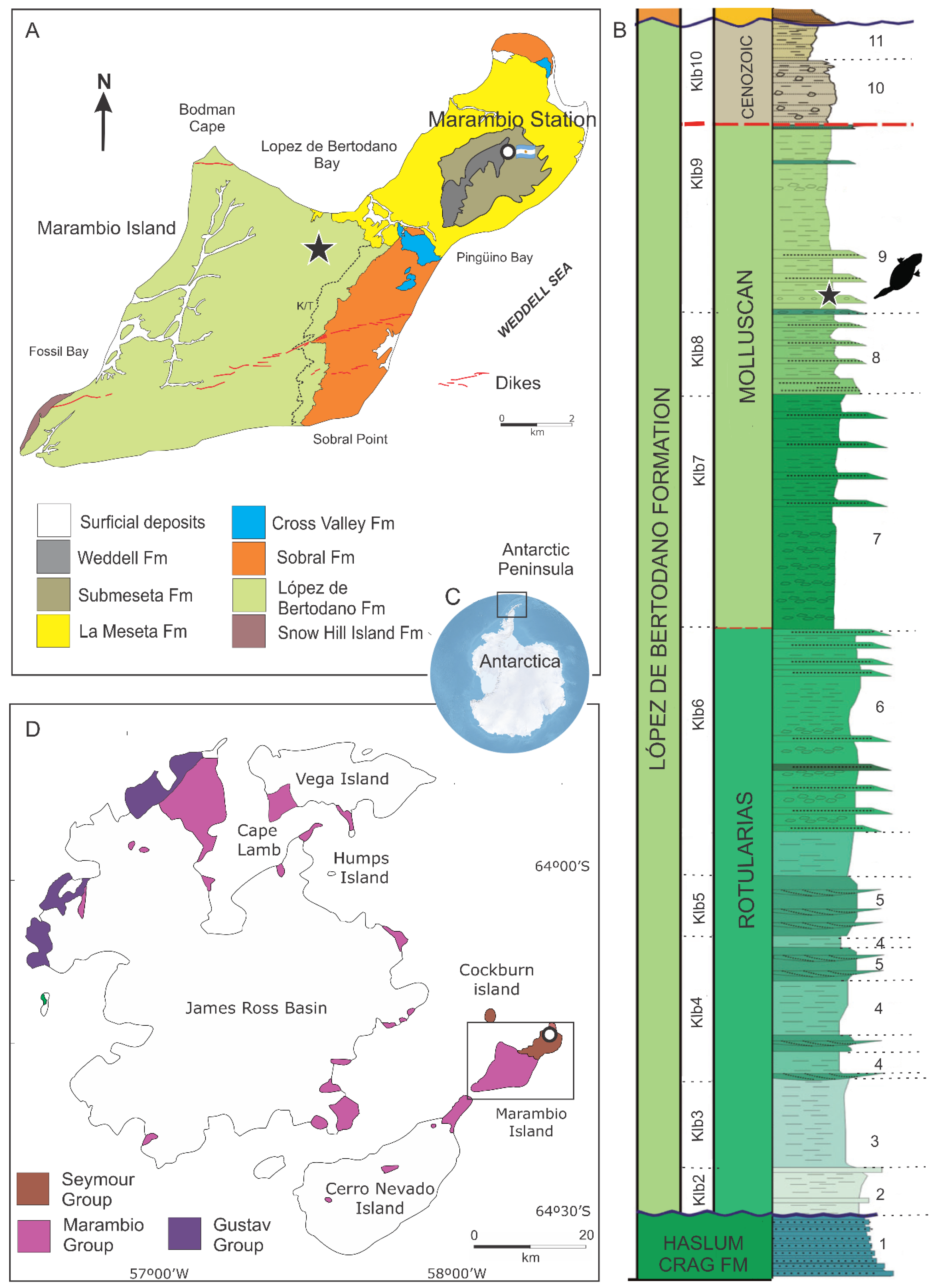 Diversity 18 00082 g001