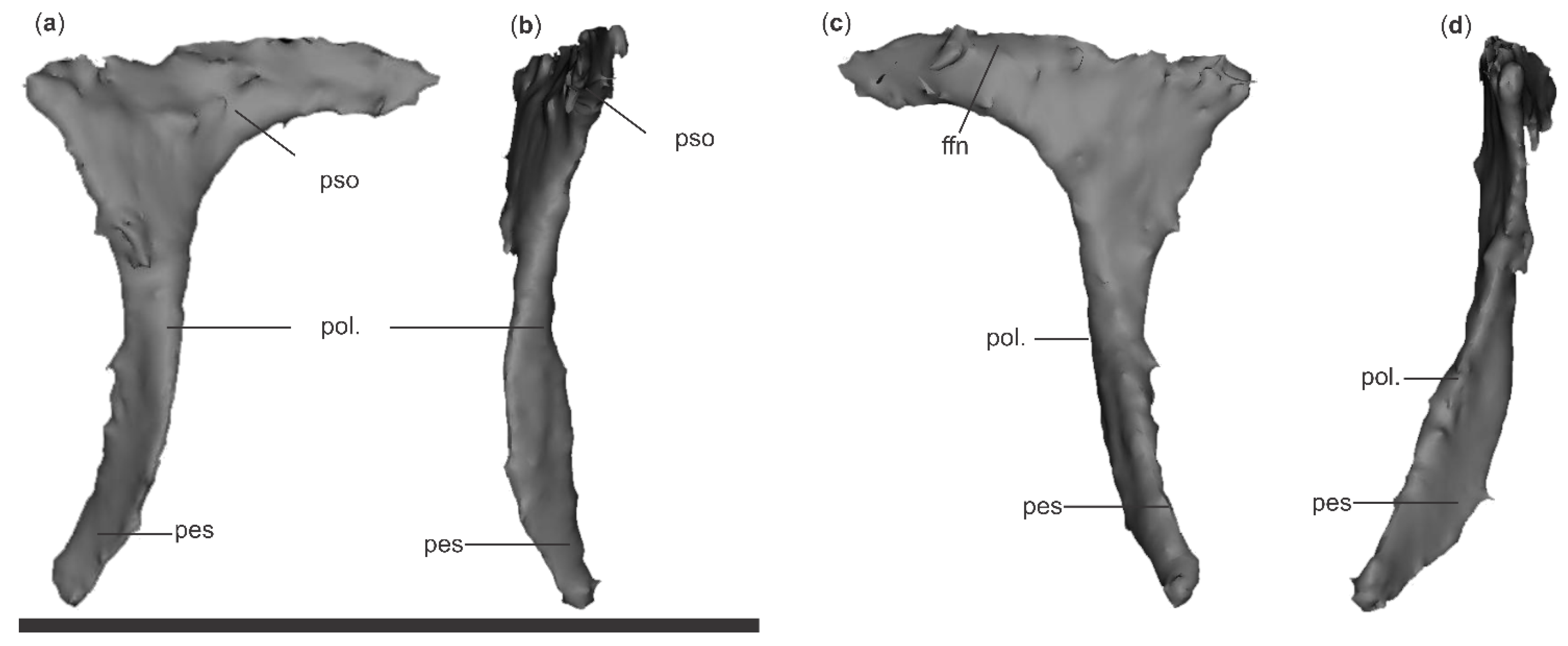 Diversity 18 00082 g003