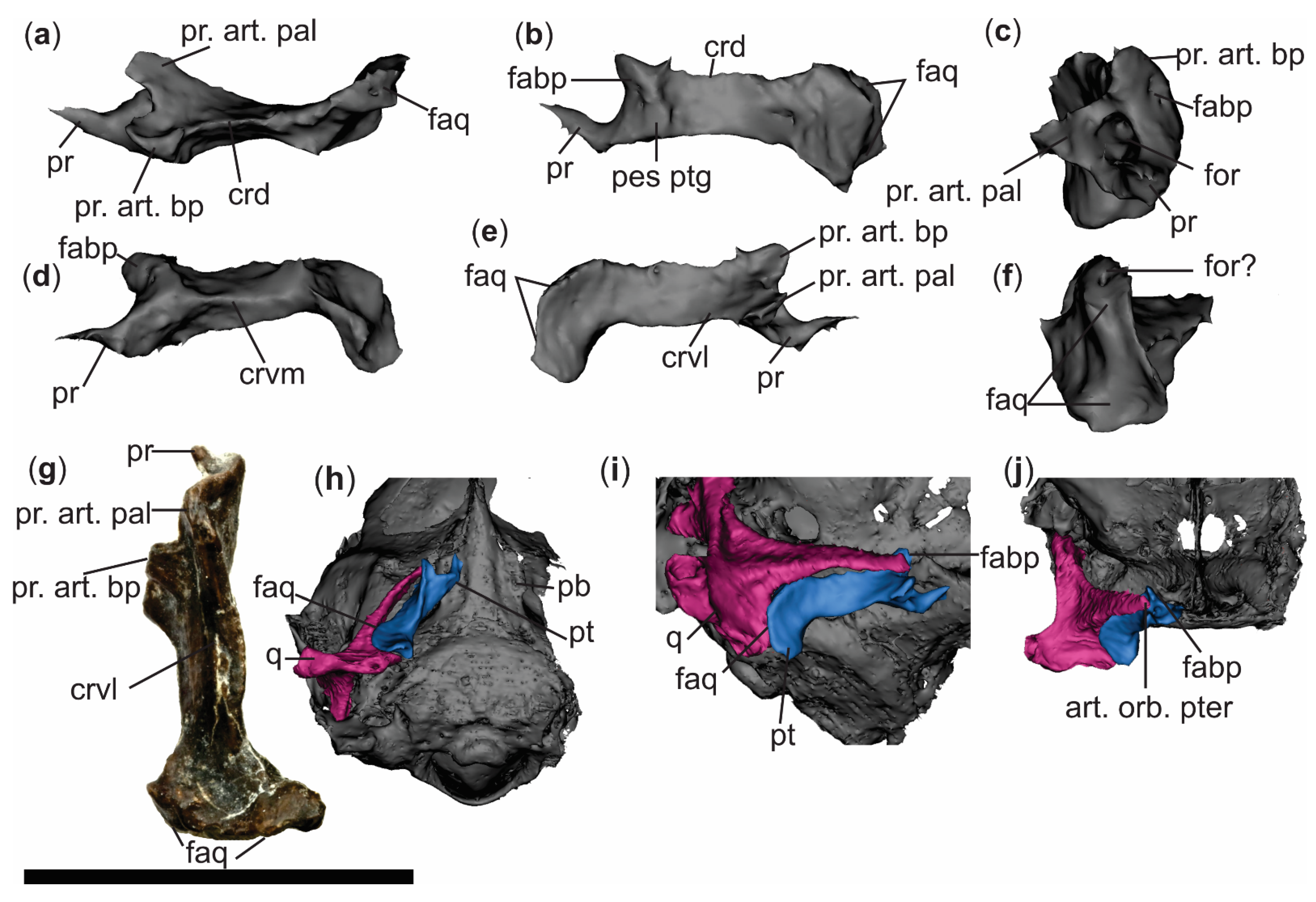 Diversity 18 00082 g005