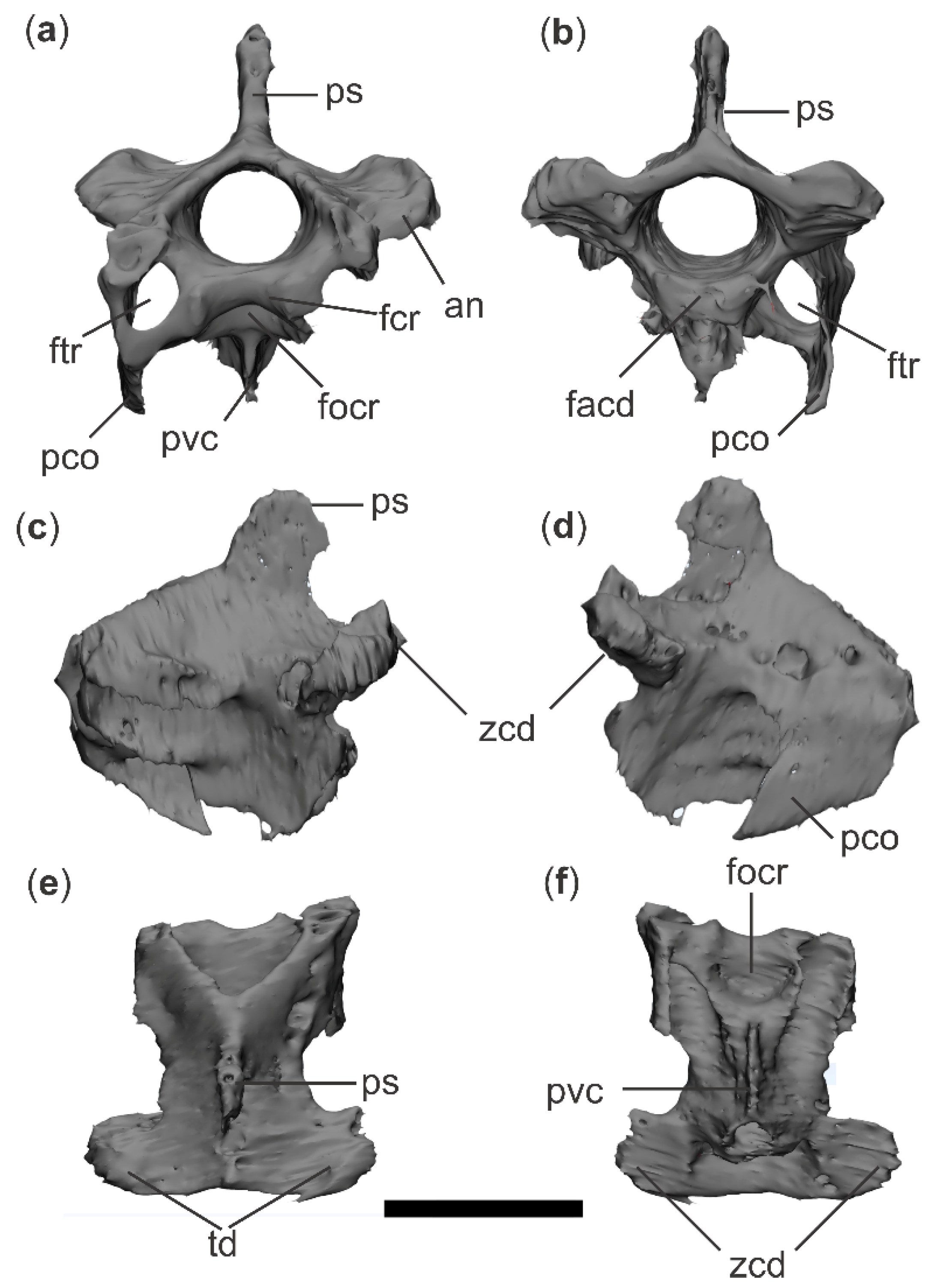 Diversity 18 00082 g008