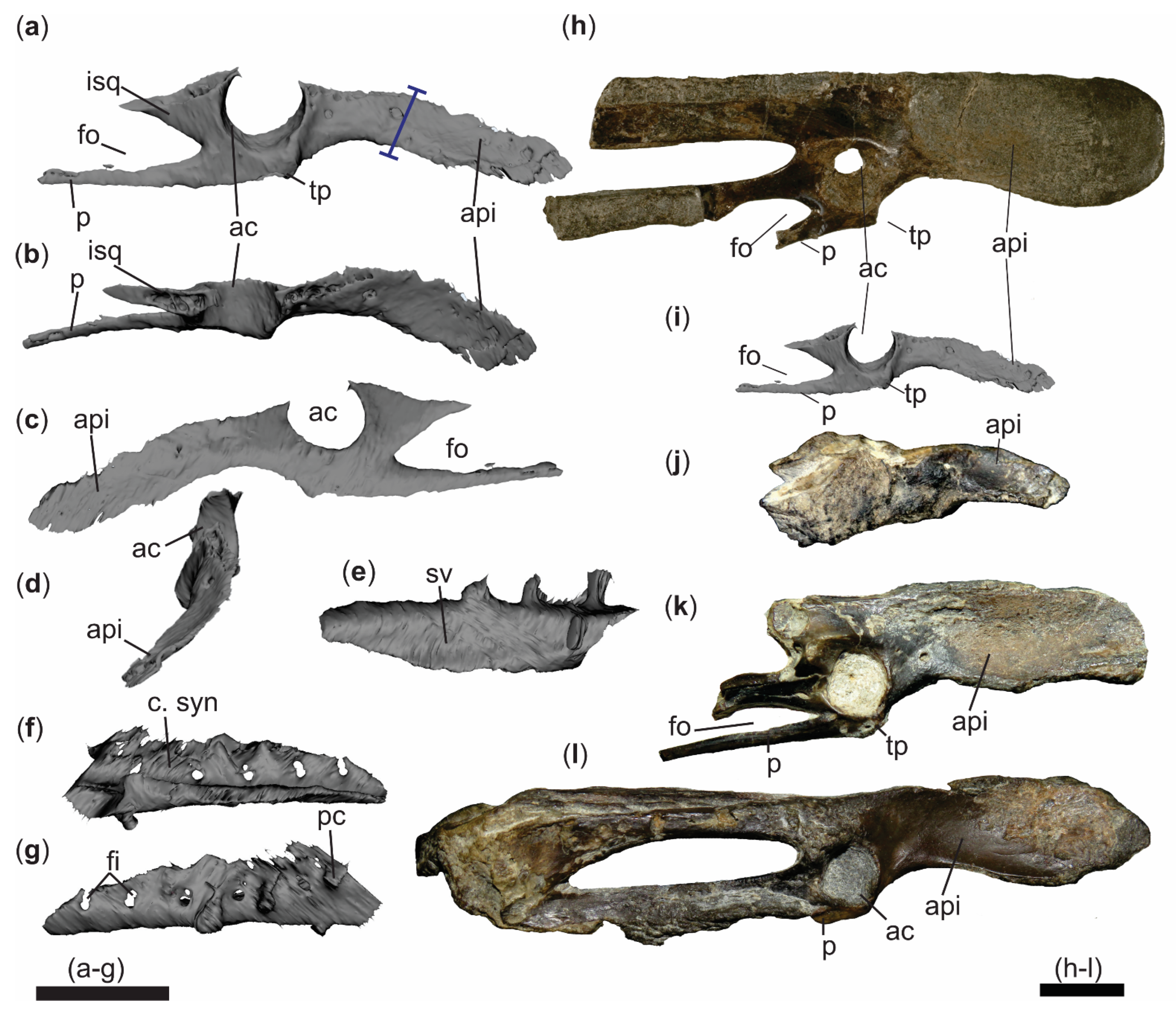 Diversity 18 00082 g009