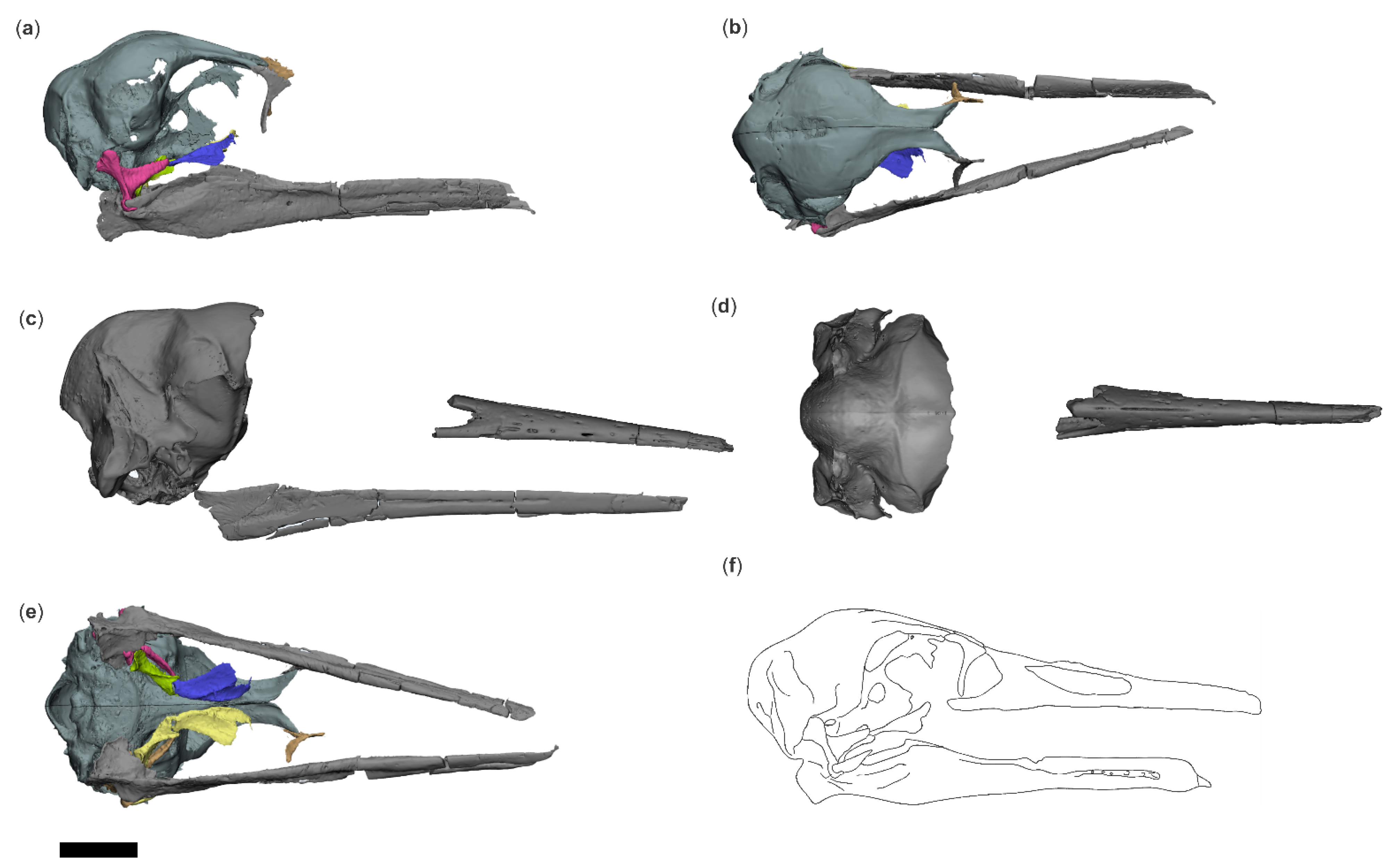 Diversity 18 00082 g012
