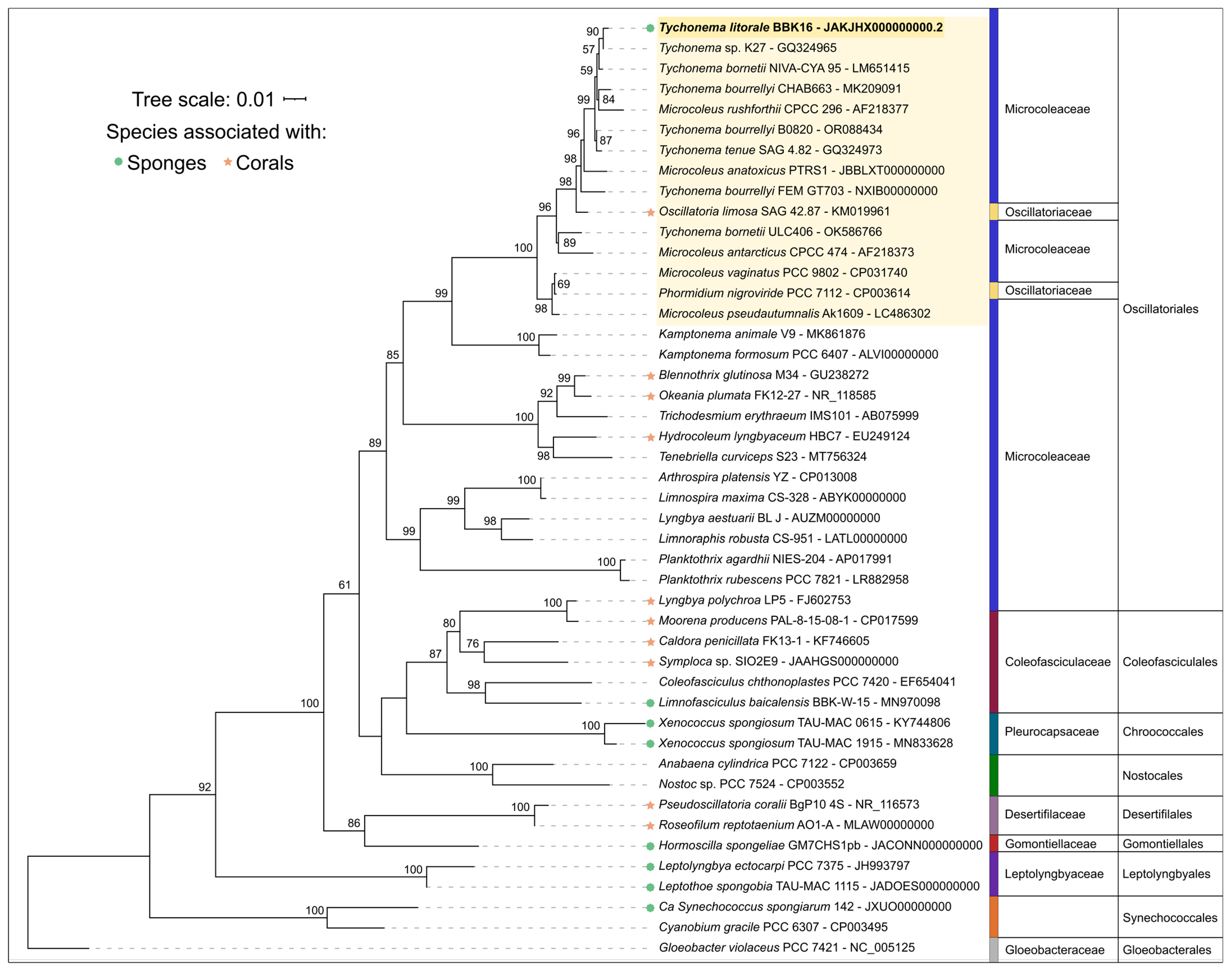 Diversity 18 00084 g005 Diversity 18 00084 g005