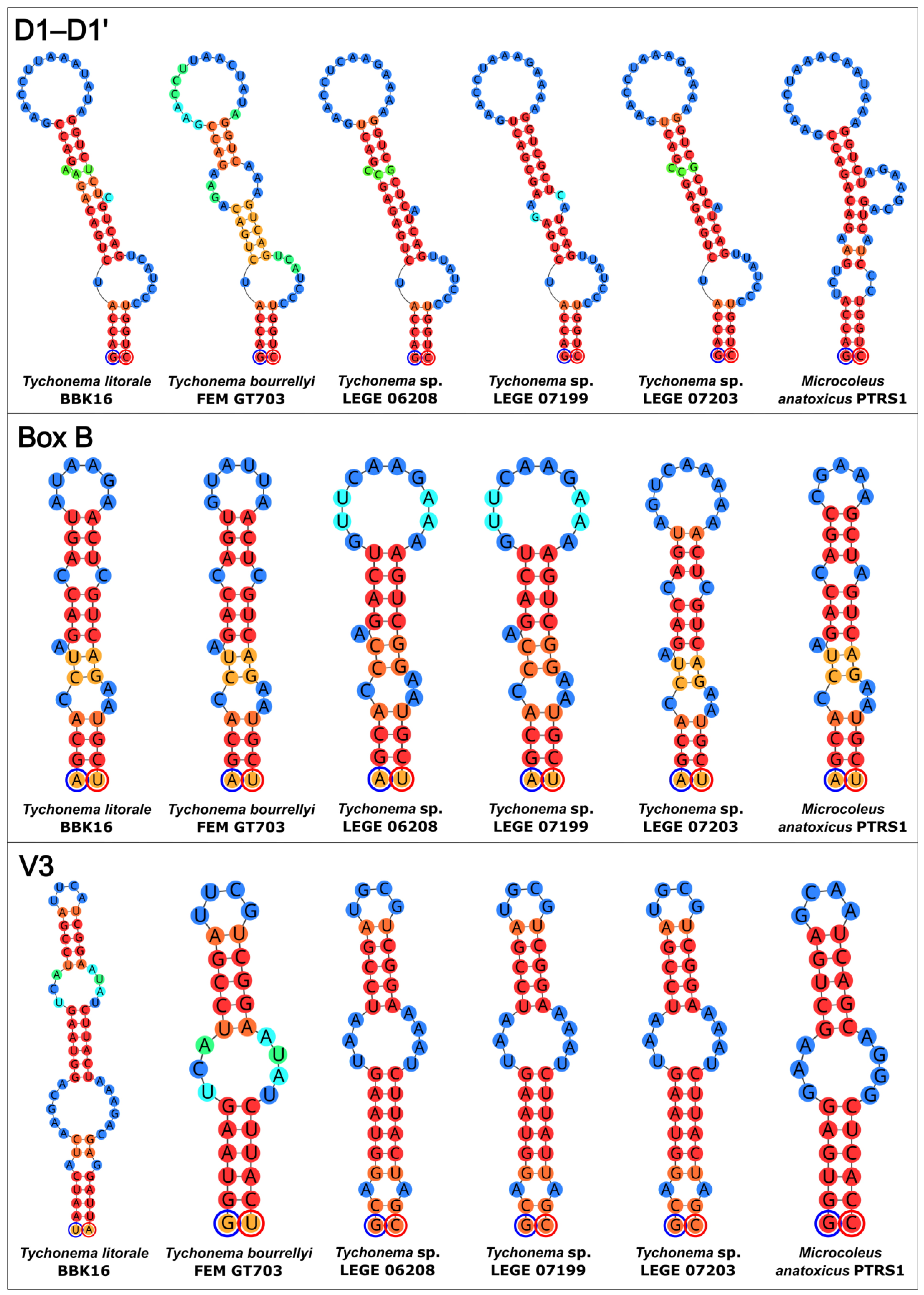 Diversity 18 00084 g006 Diversity 18 00084 g006