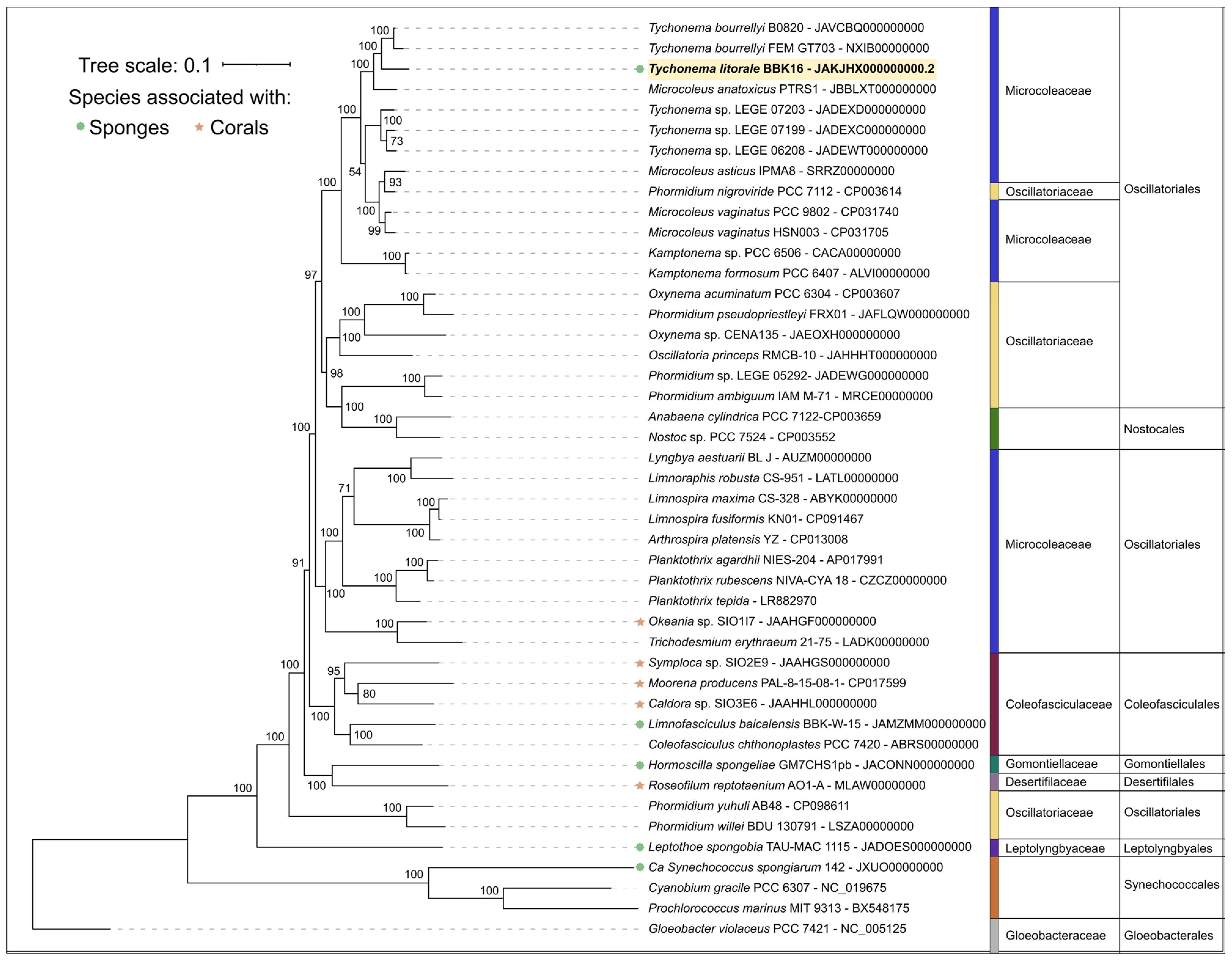 Diversity 18 00084 g007 Diversity 18 00084 g007