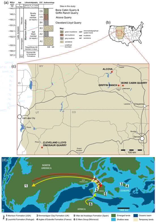Diversity 18 00143 g001
