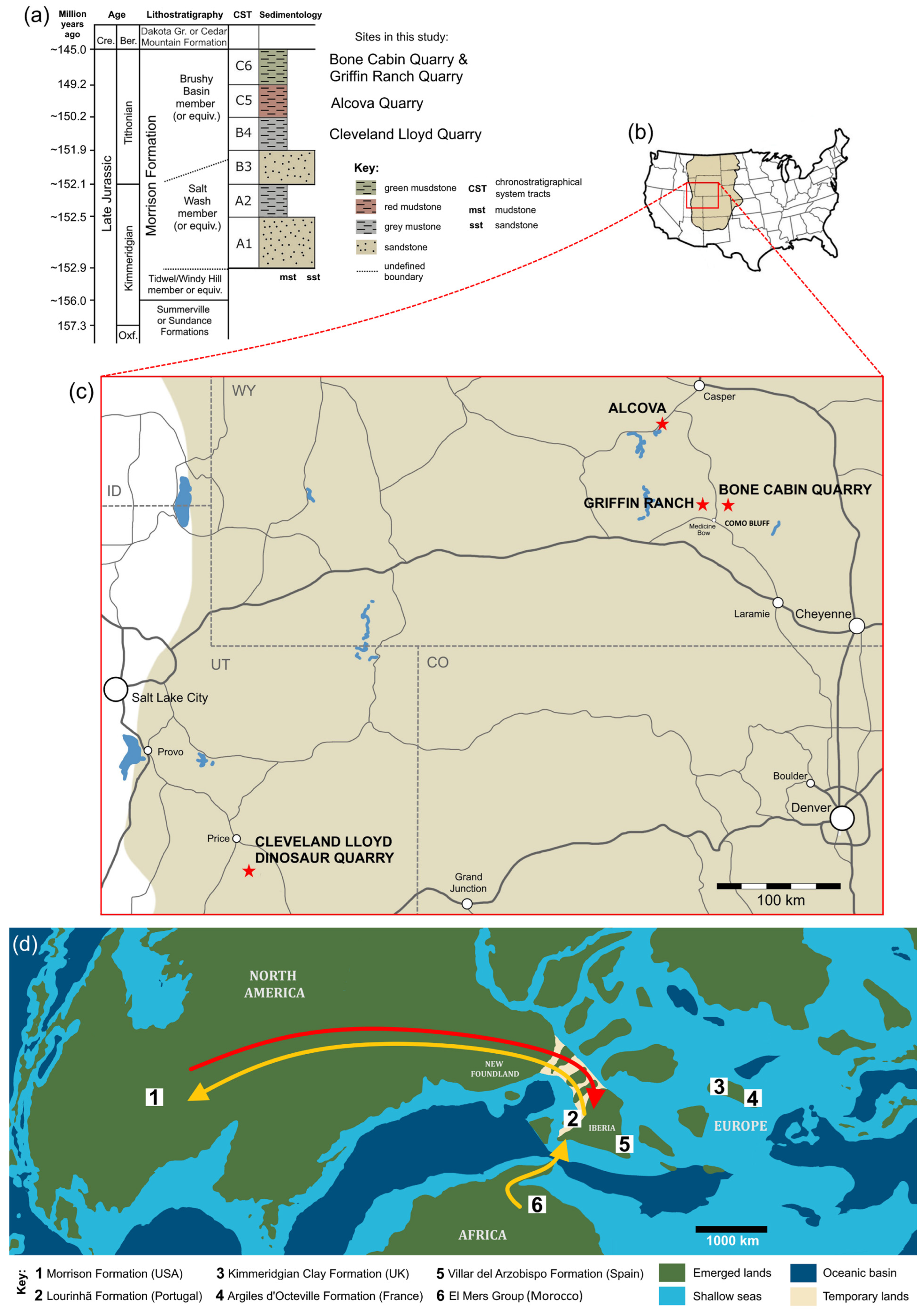 Diversity 18 00143 g001