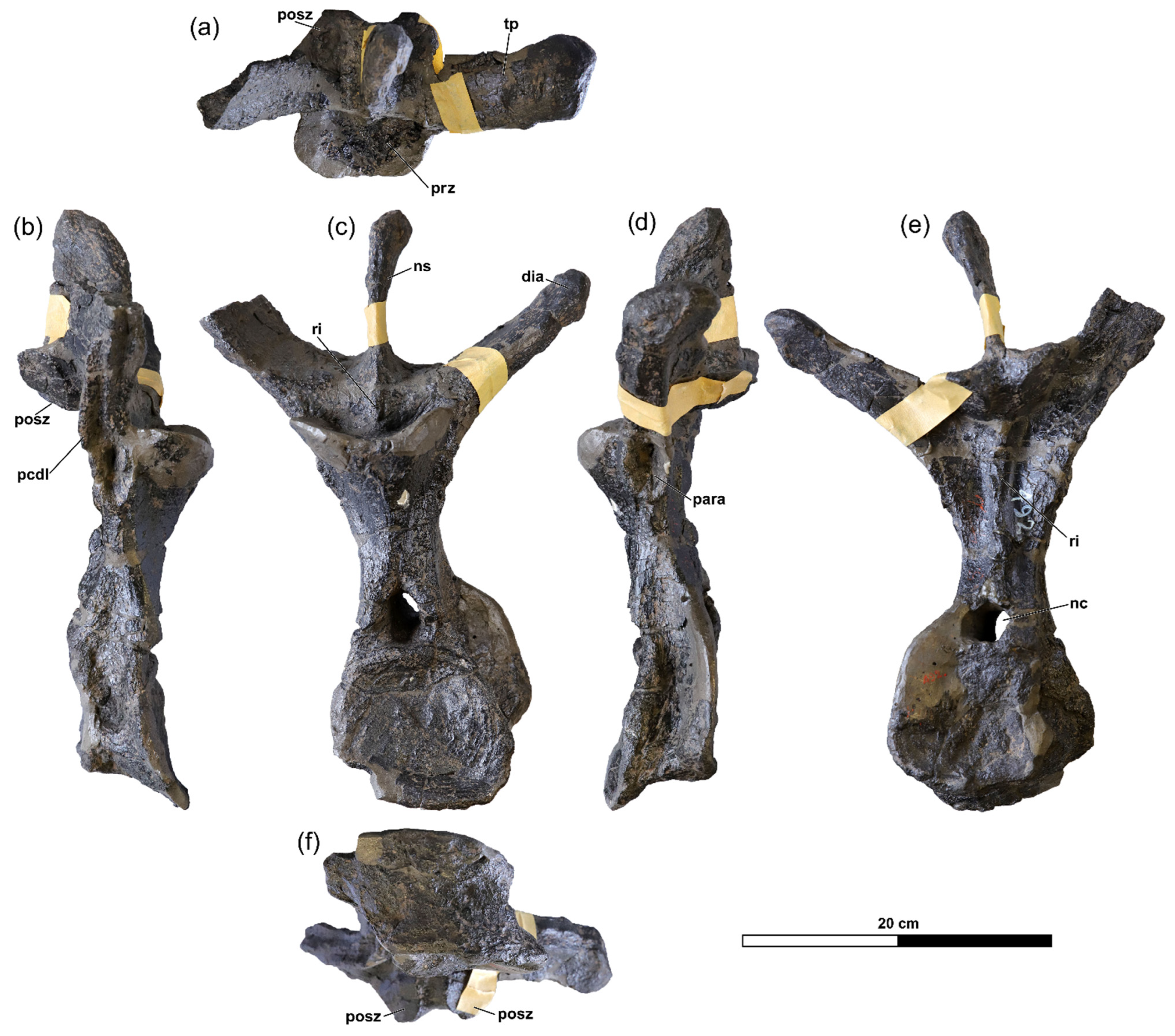 Diversity 18 00143 g002