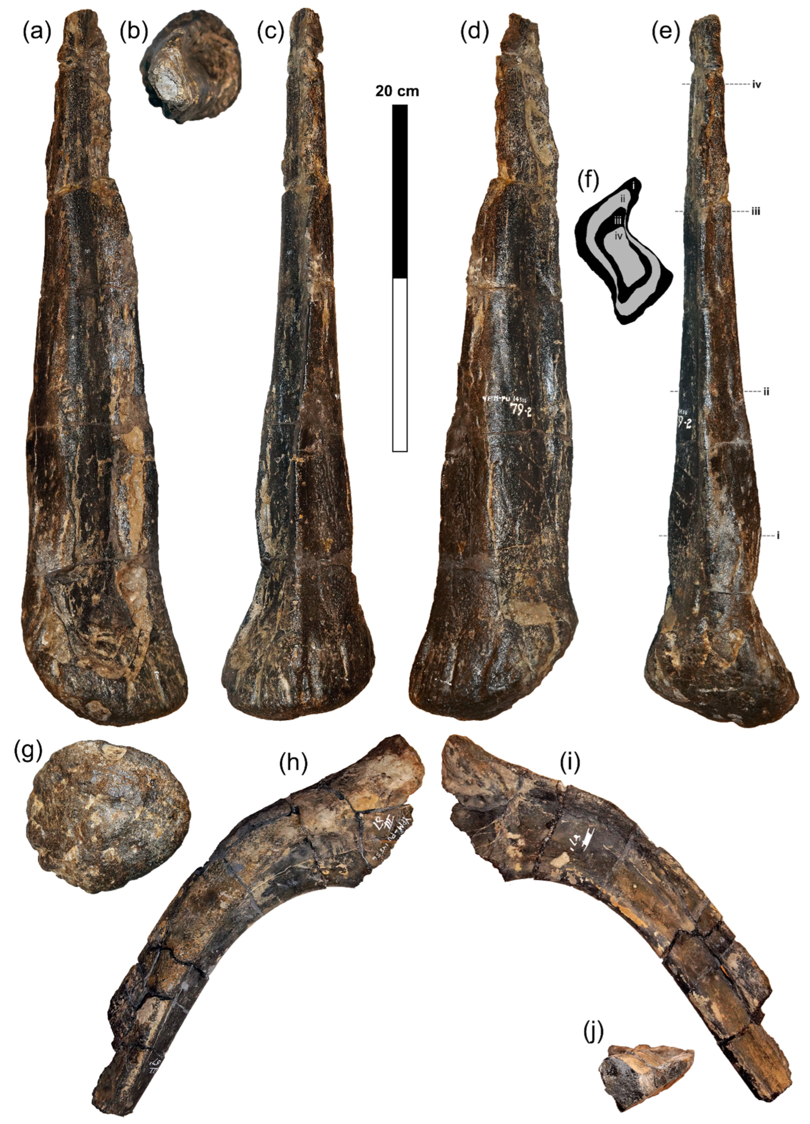 Diversity 18 00143 g003