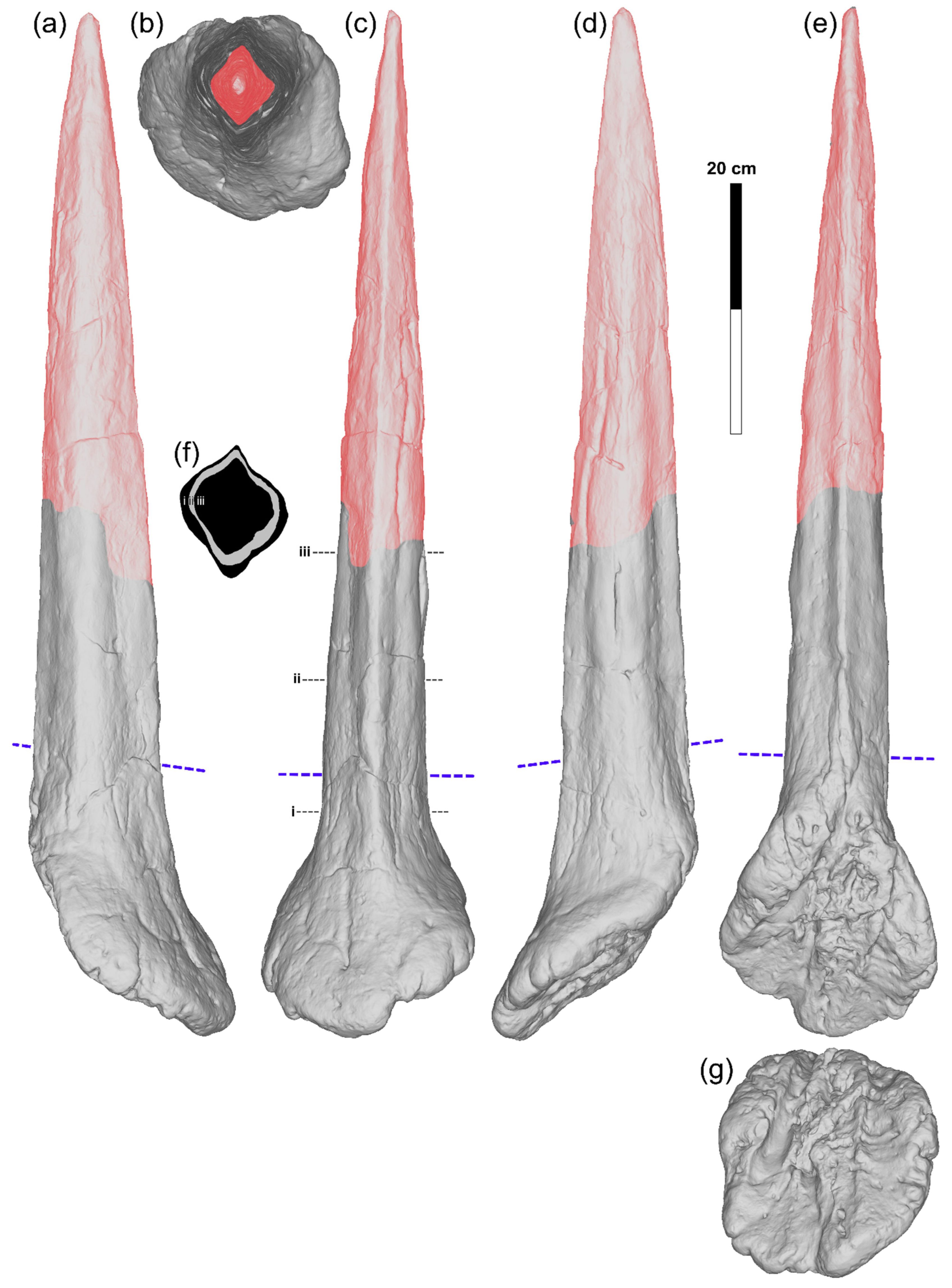 Diversity 18 00143 g005