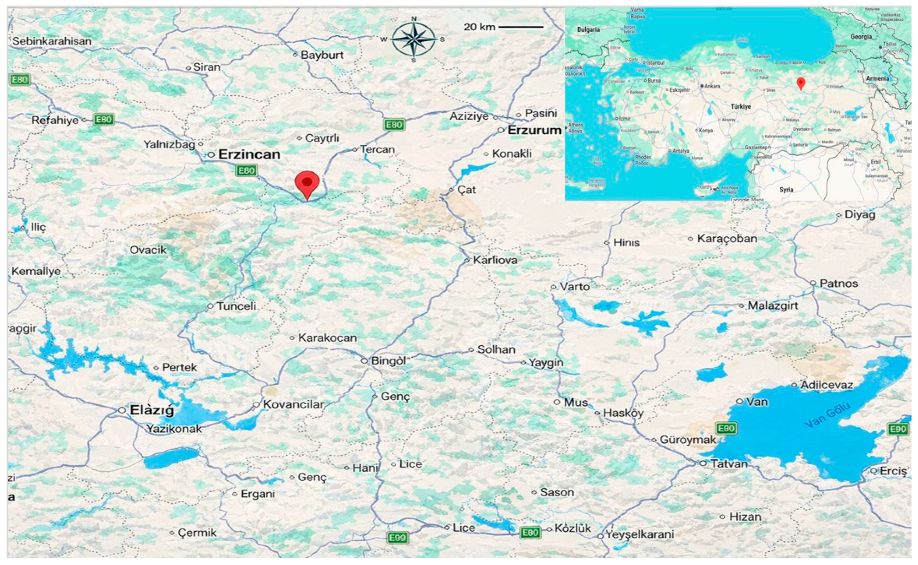 Diversity 18 00157 g001