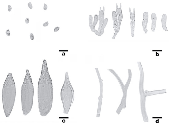Diversity 18 00570 g005
