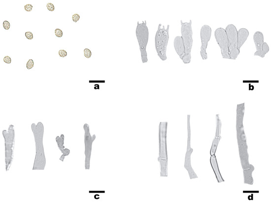 Diversity 18 00570 g006