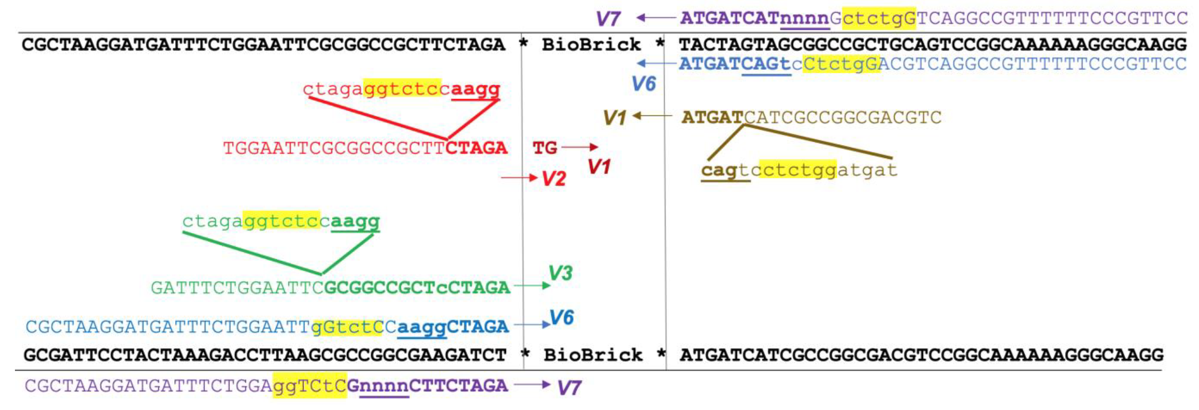 Dna 03 00003 g001 Dna 03 00003 g001