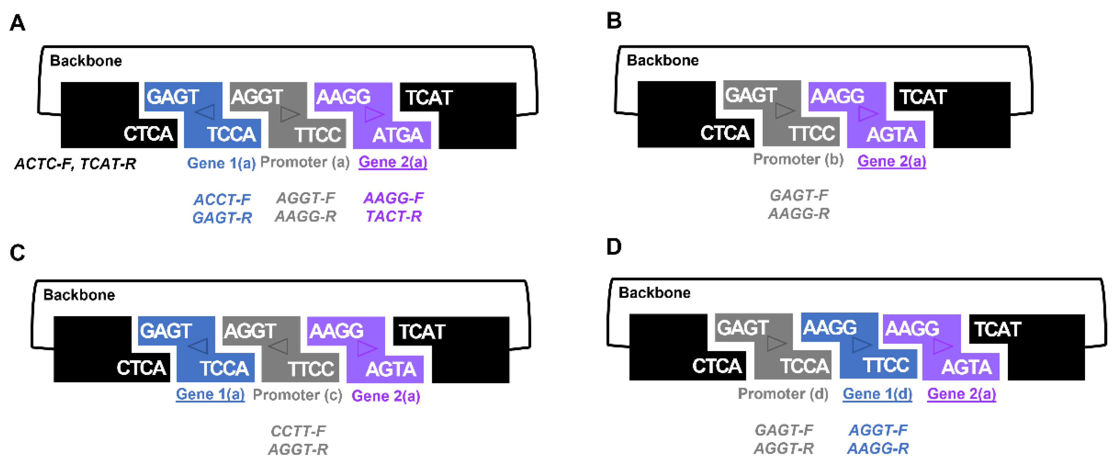Dna 03 00003 g003 Dna 03 00003 g003